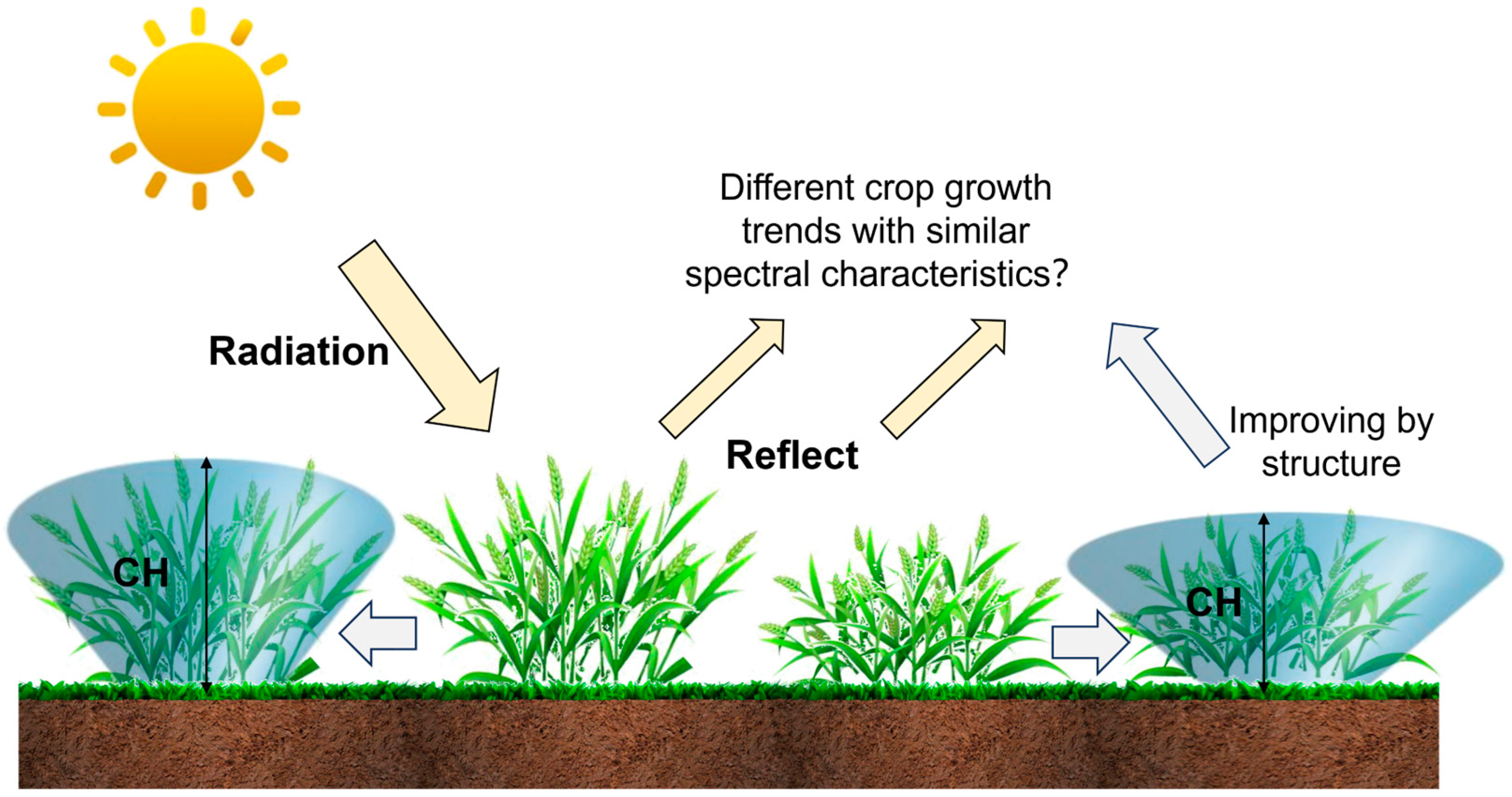 Agronomy 14 01783 g005 Agronomy 14 01783 g005