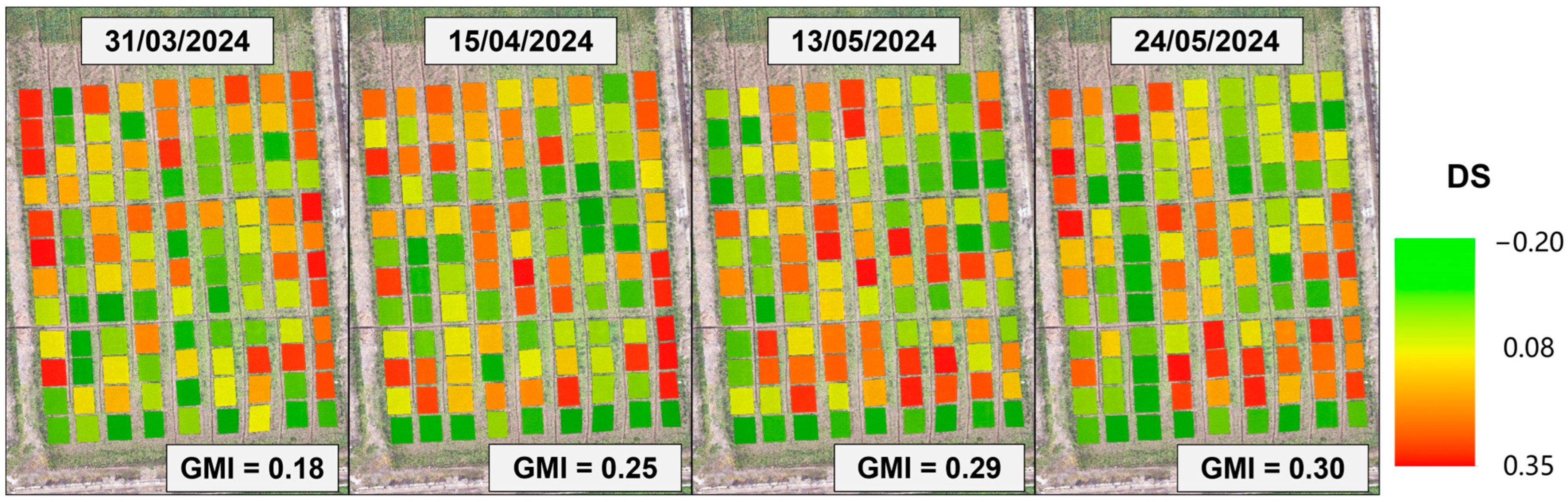 Agronomy 14 01783 g012 Agronomy 14 01783 g012
