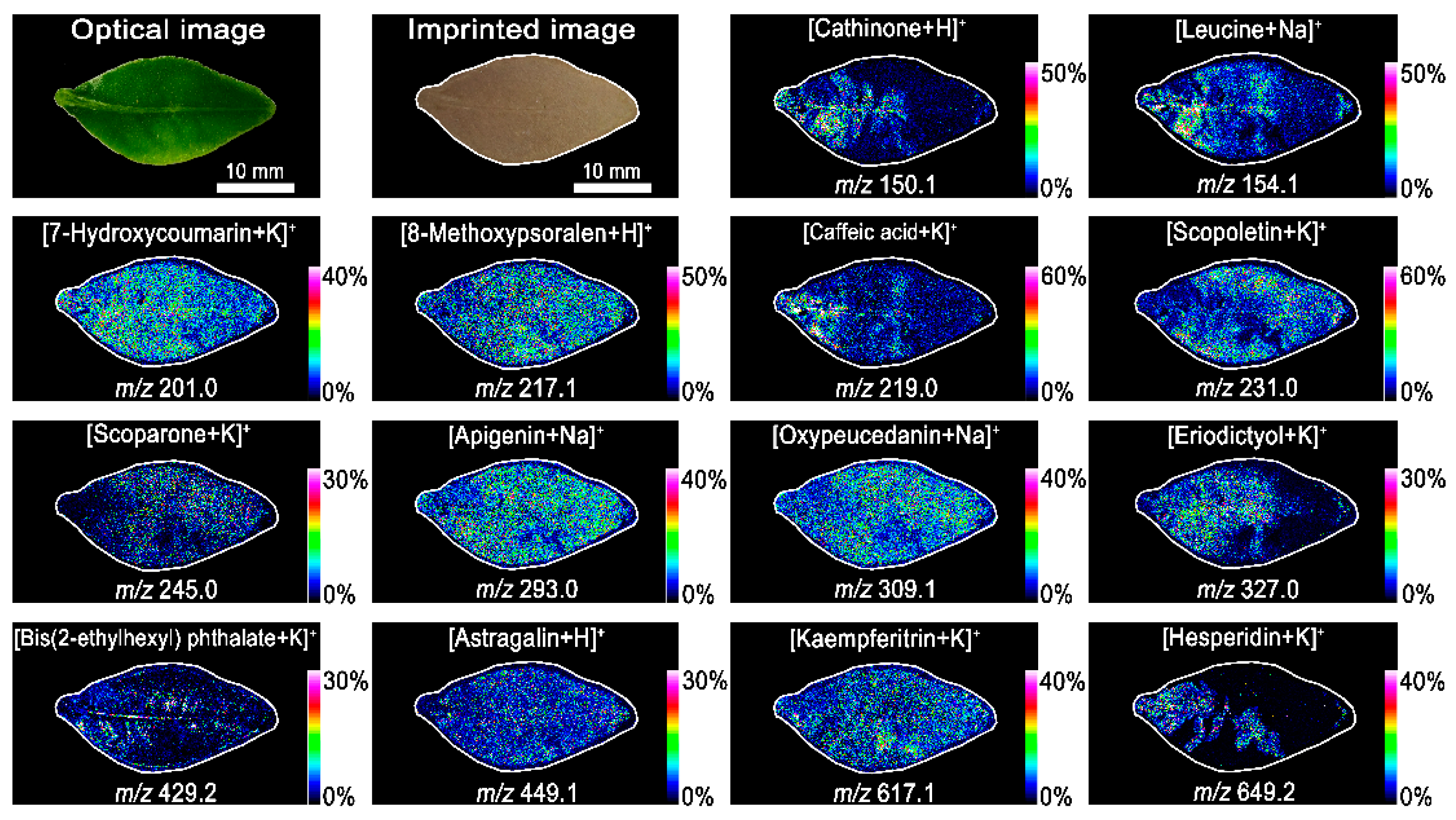 Agronomy 14 01797 g002