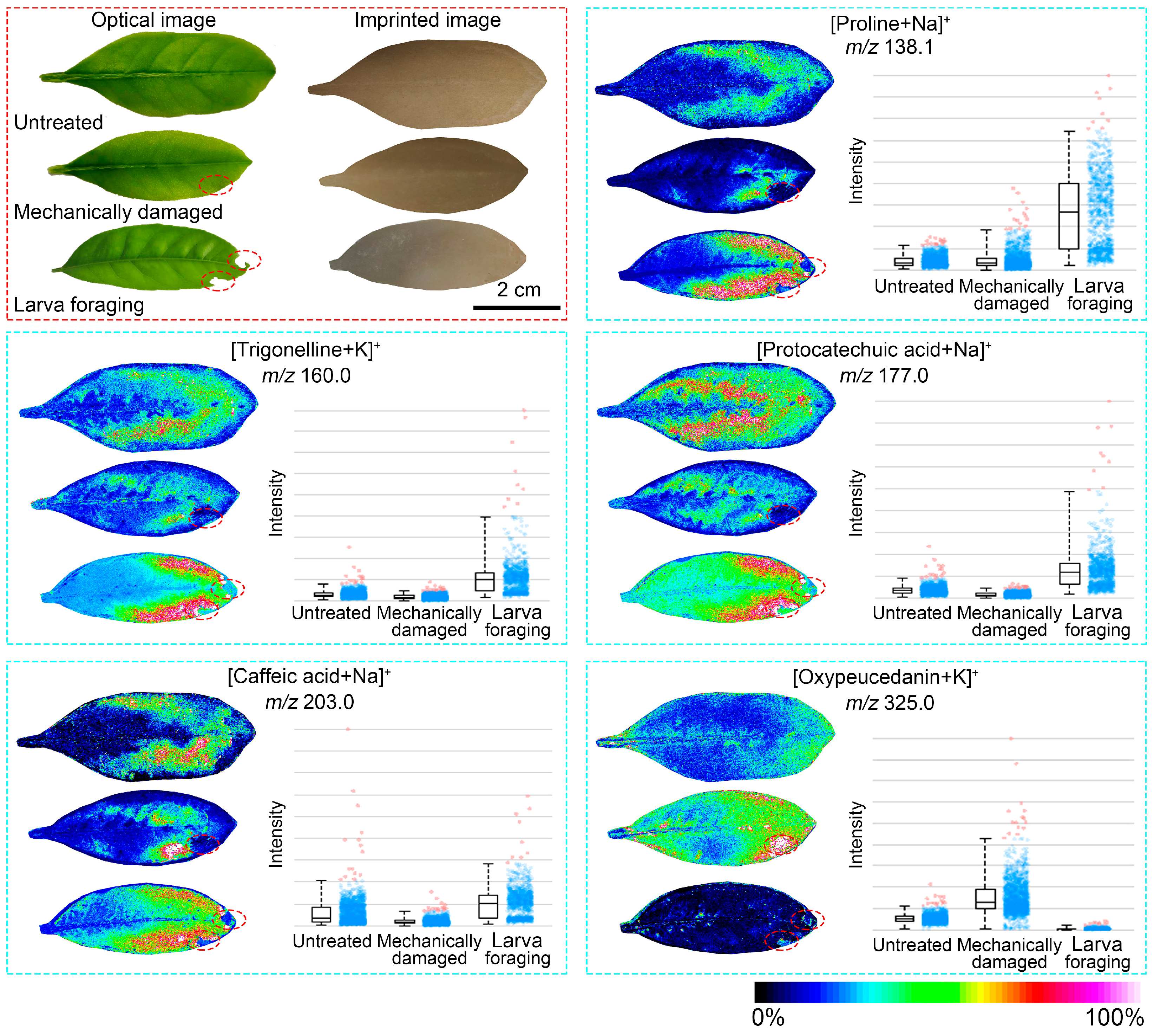 Agronomy 14 01797 g003