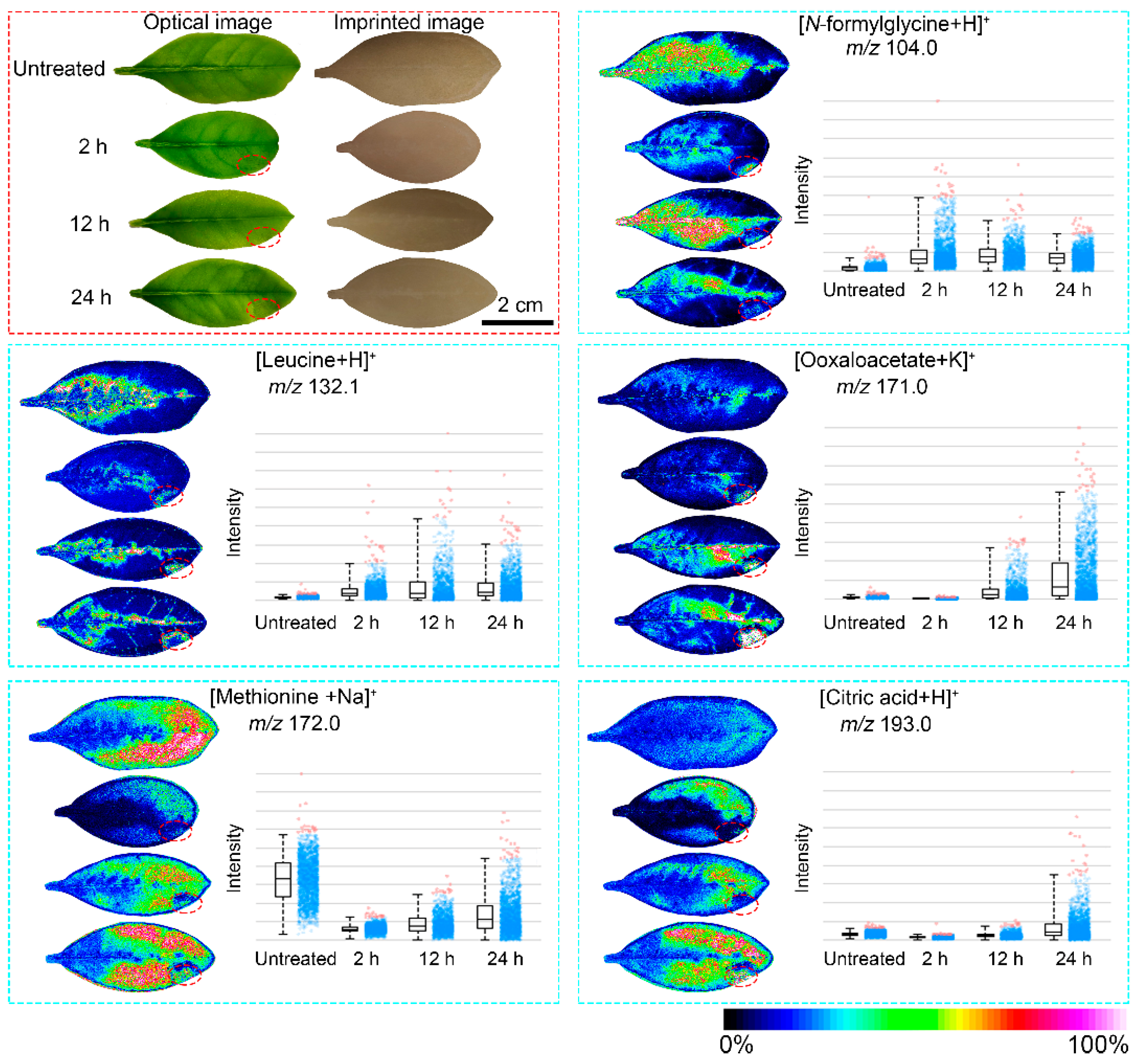 Agronomy 14 01797 g004