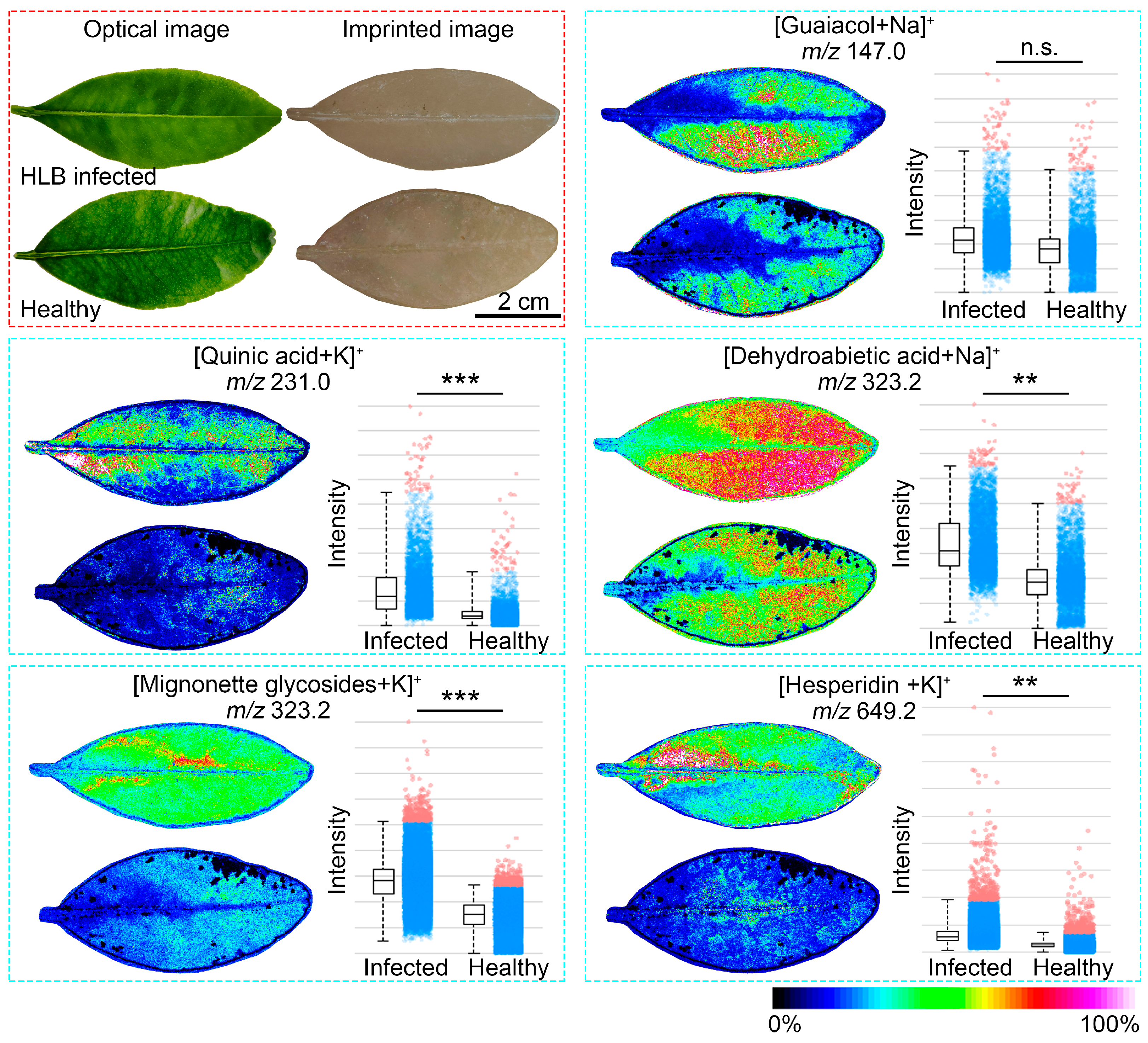 Agronomy 14 01797 g005