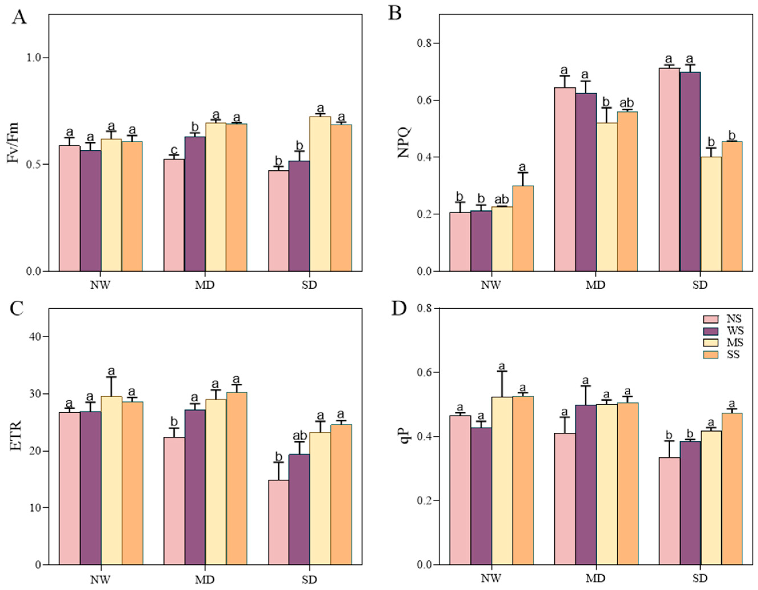 Agronomy 14 01803 g005