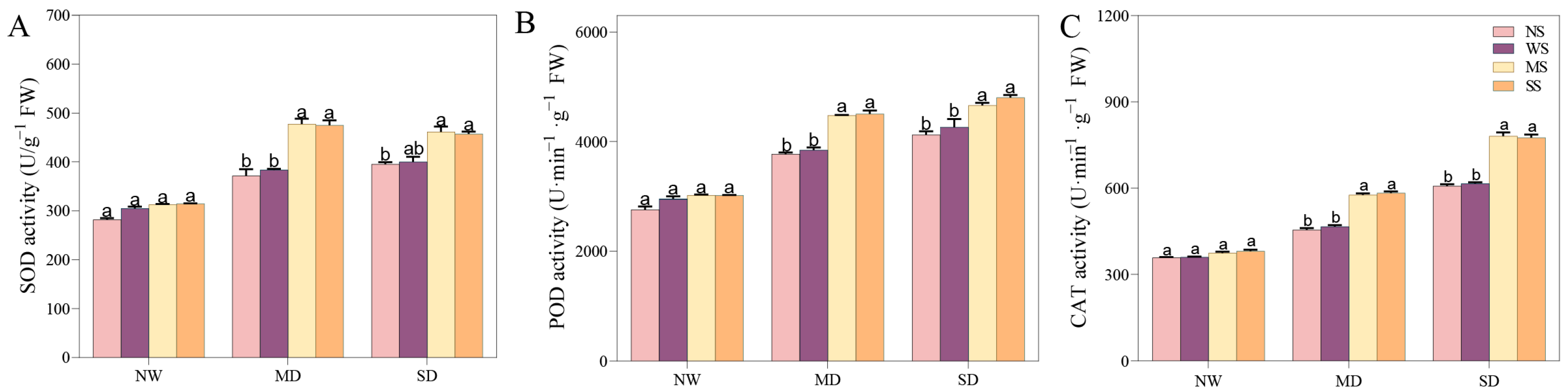 Agronomy 14 01803 g006