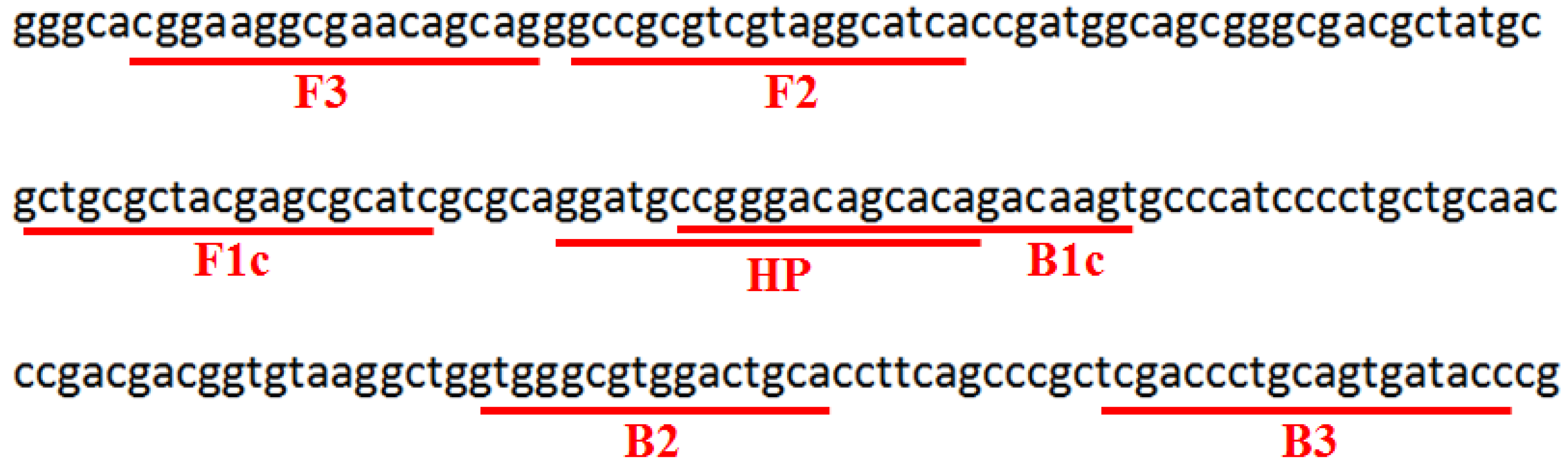 Agronomy 14 01804 g001
