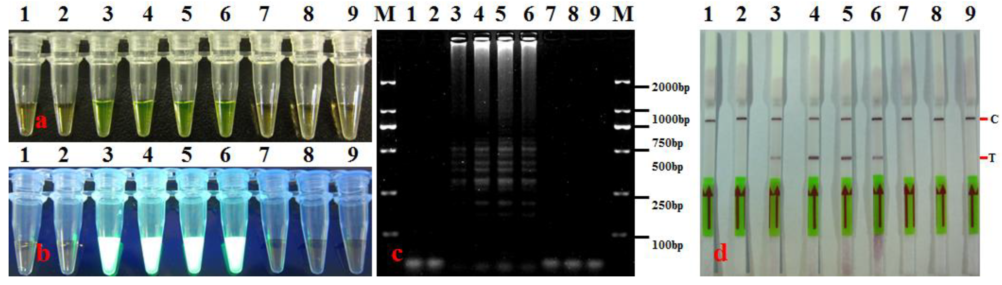Agronomy 14 01804 g002