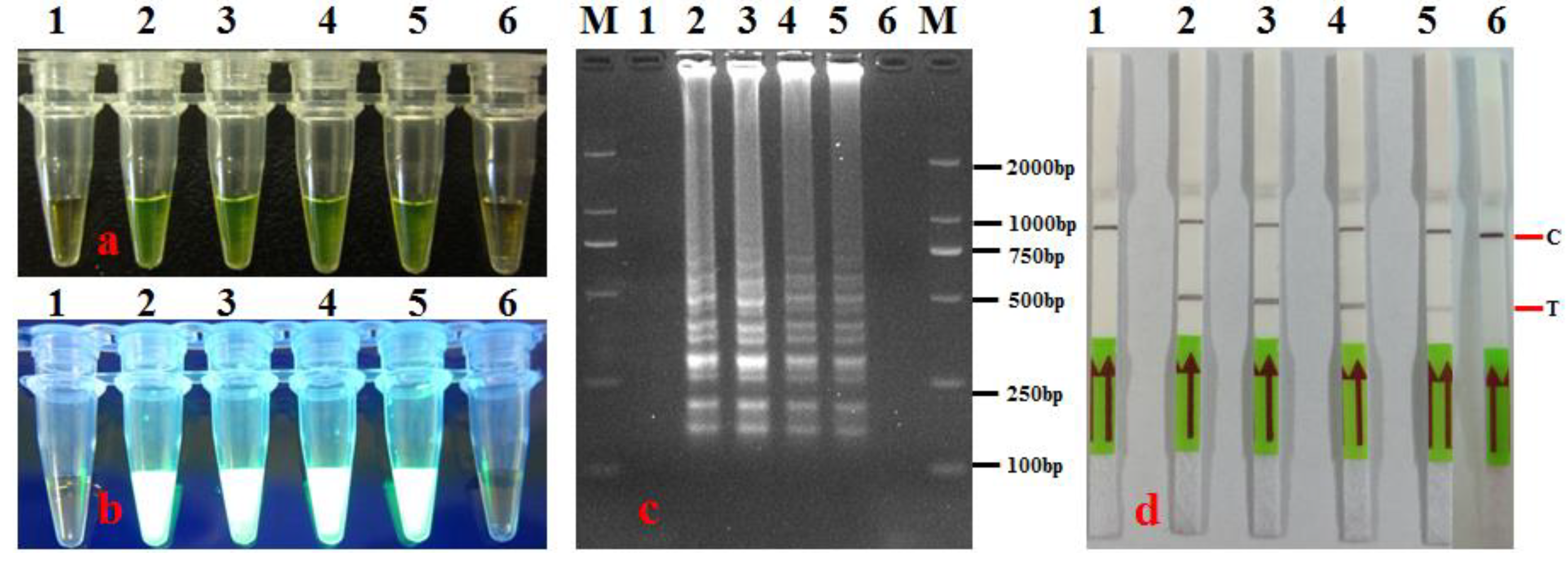 Agronomy 14 01804 g003
