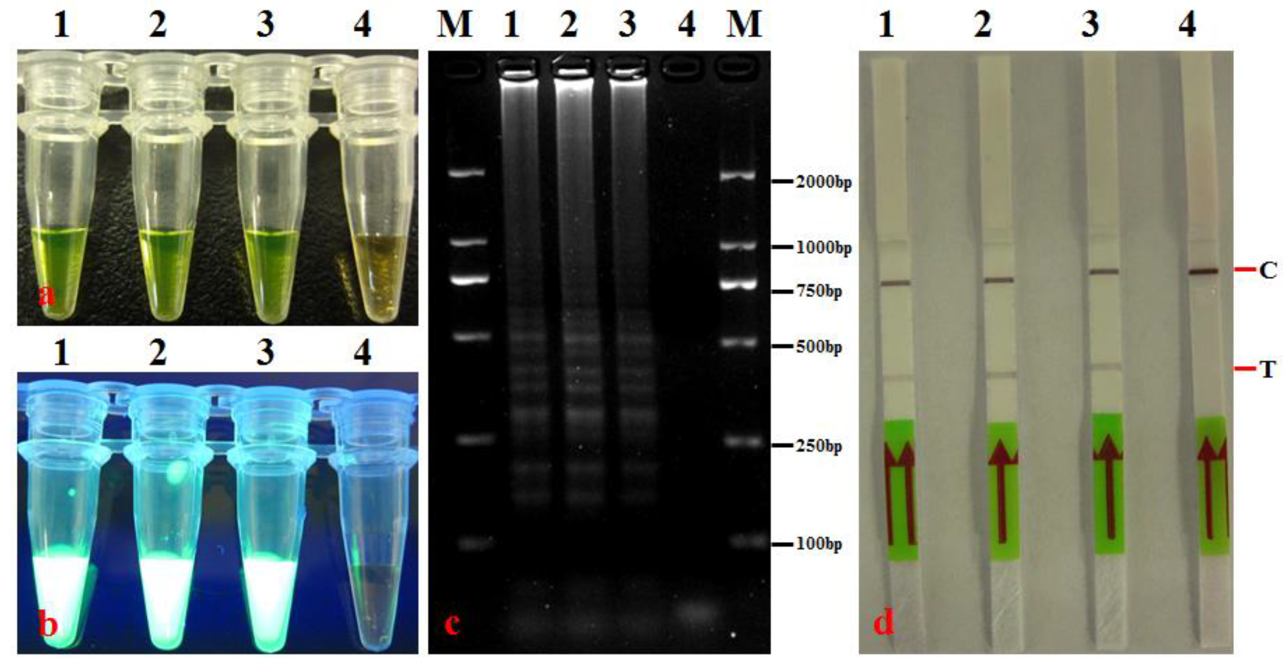 Agronomy 14 01804 g004