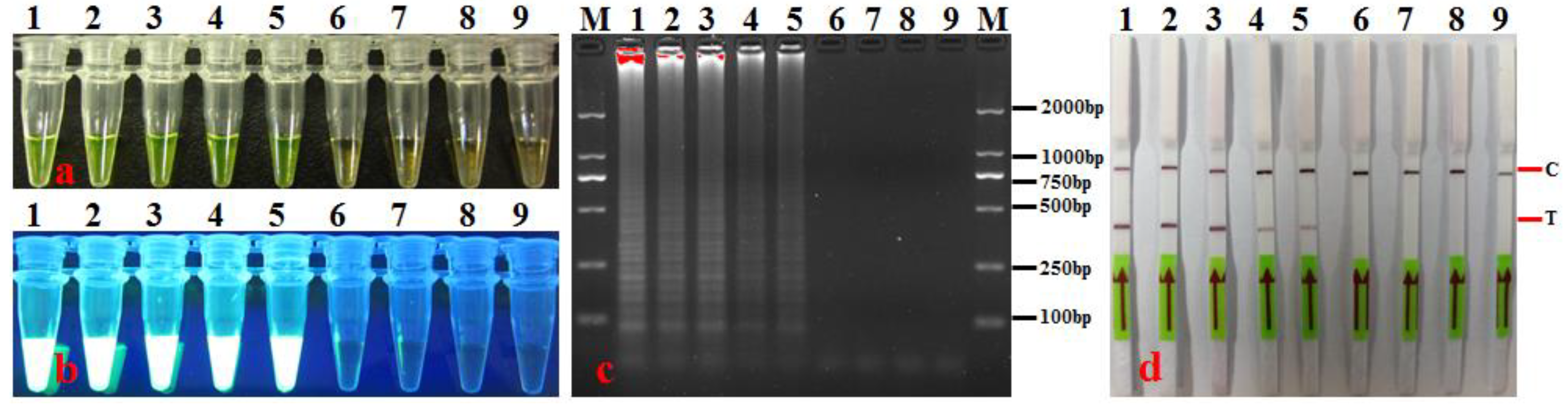 Agronomy 14 01804 g006