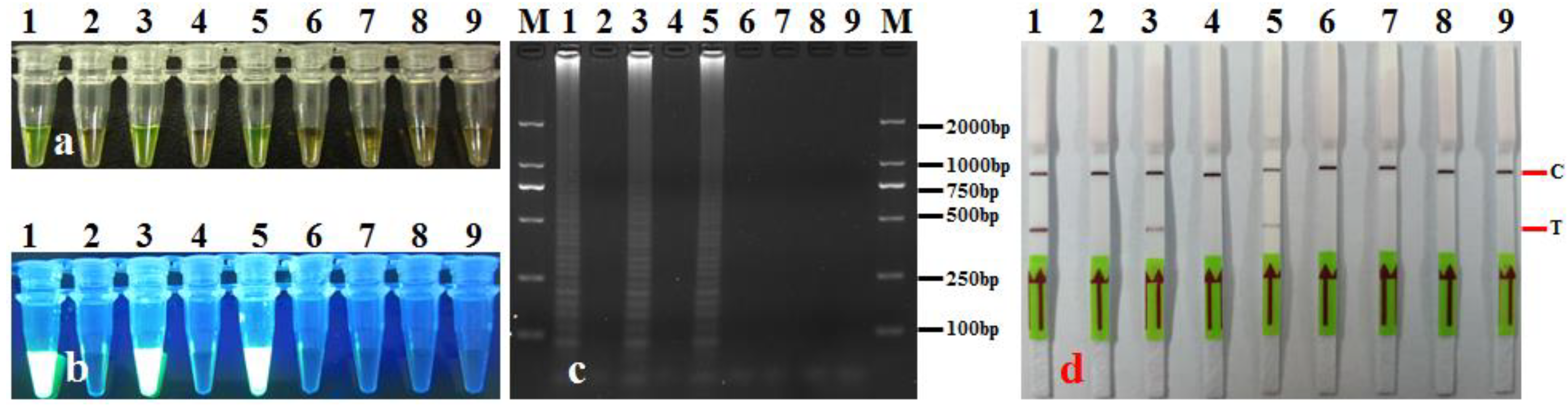 Agronomy 14 01804 g009