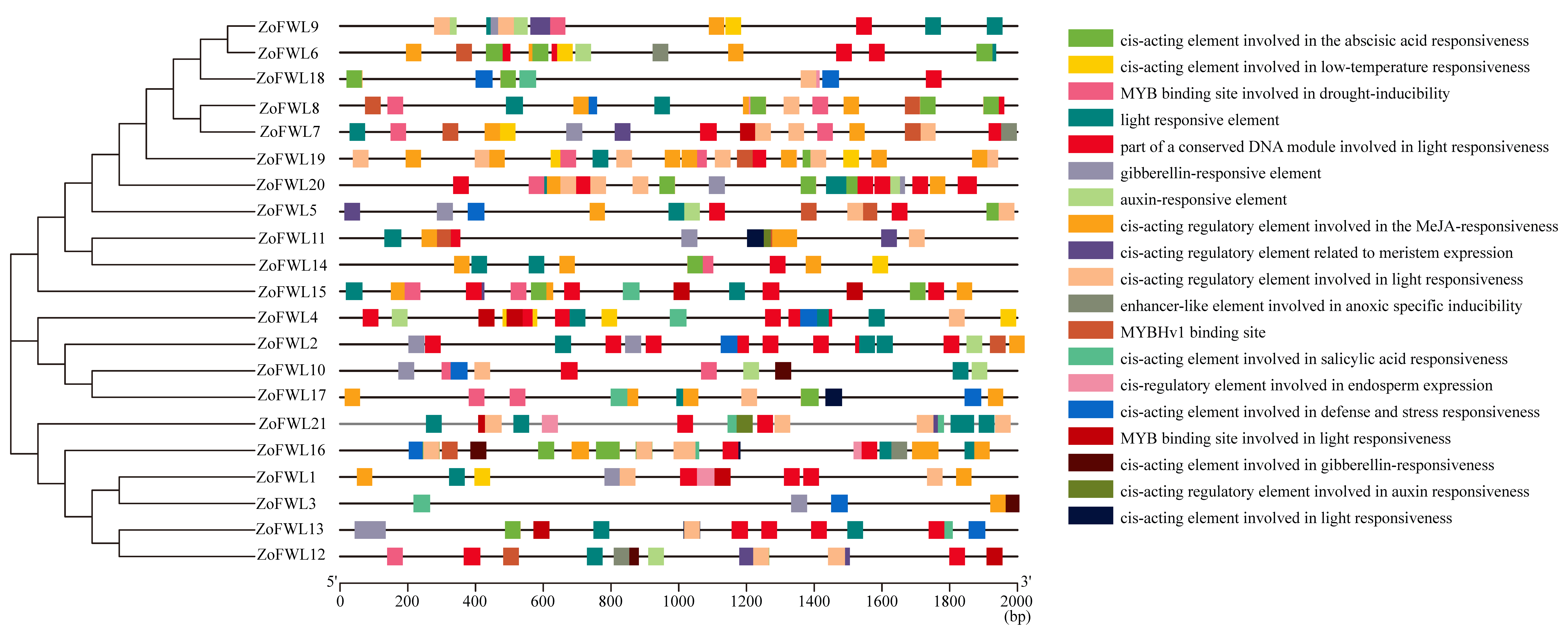 Agronomy 14 01805 g005