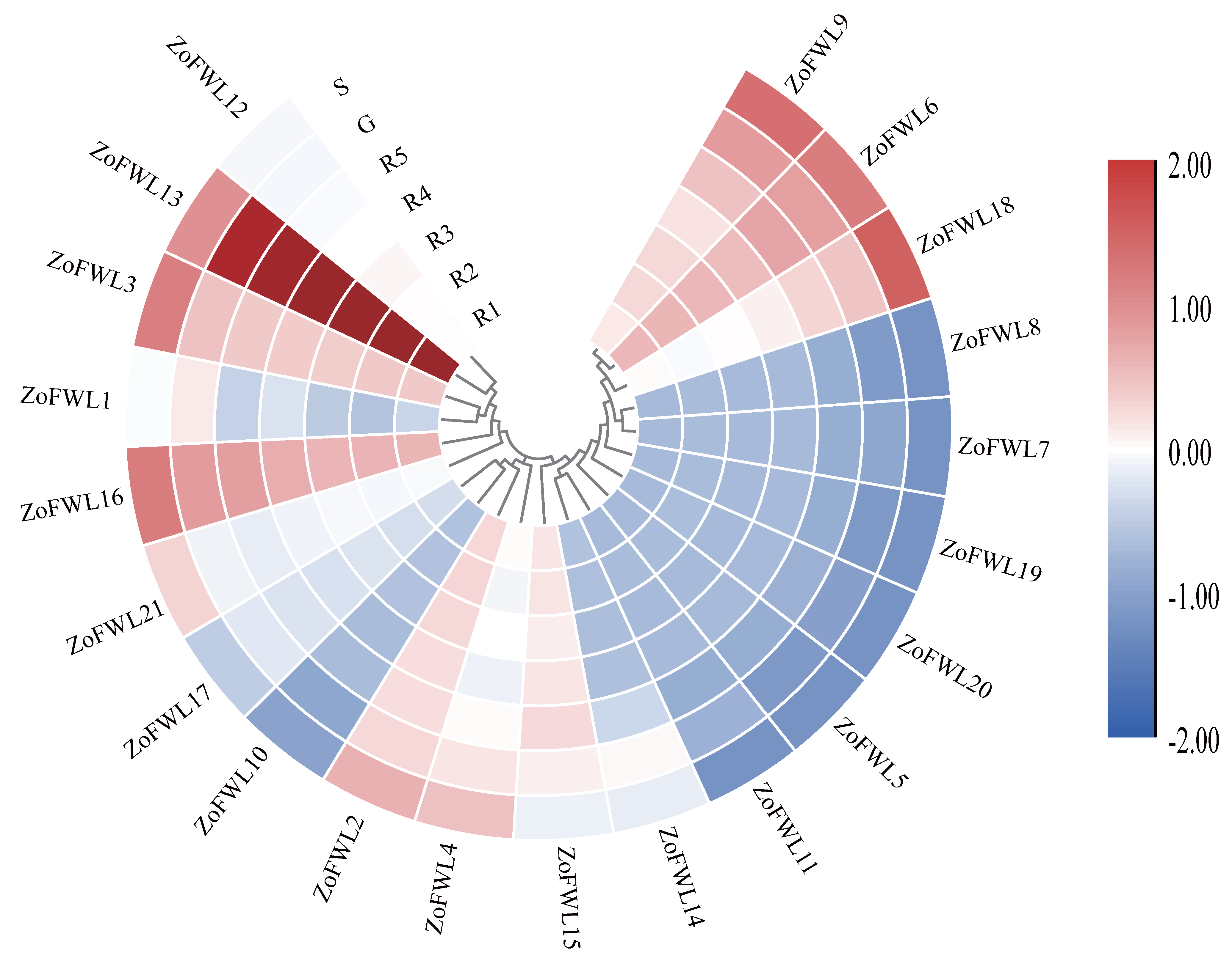 Agronomy 14 01805 g007