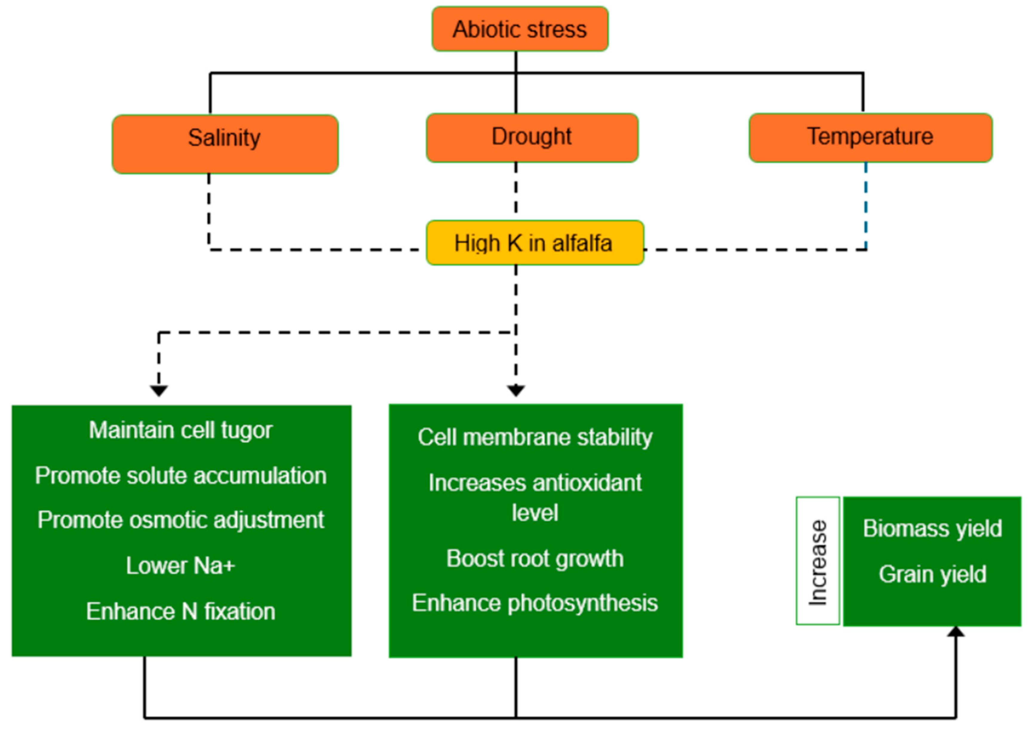 Agronomy 14 01806 g001