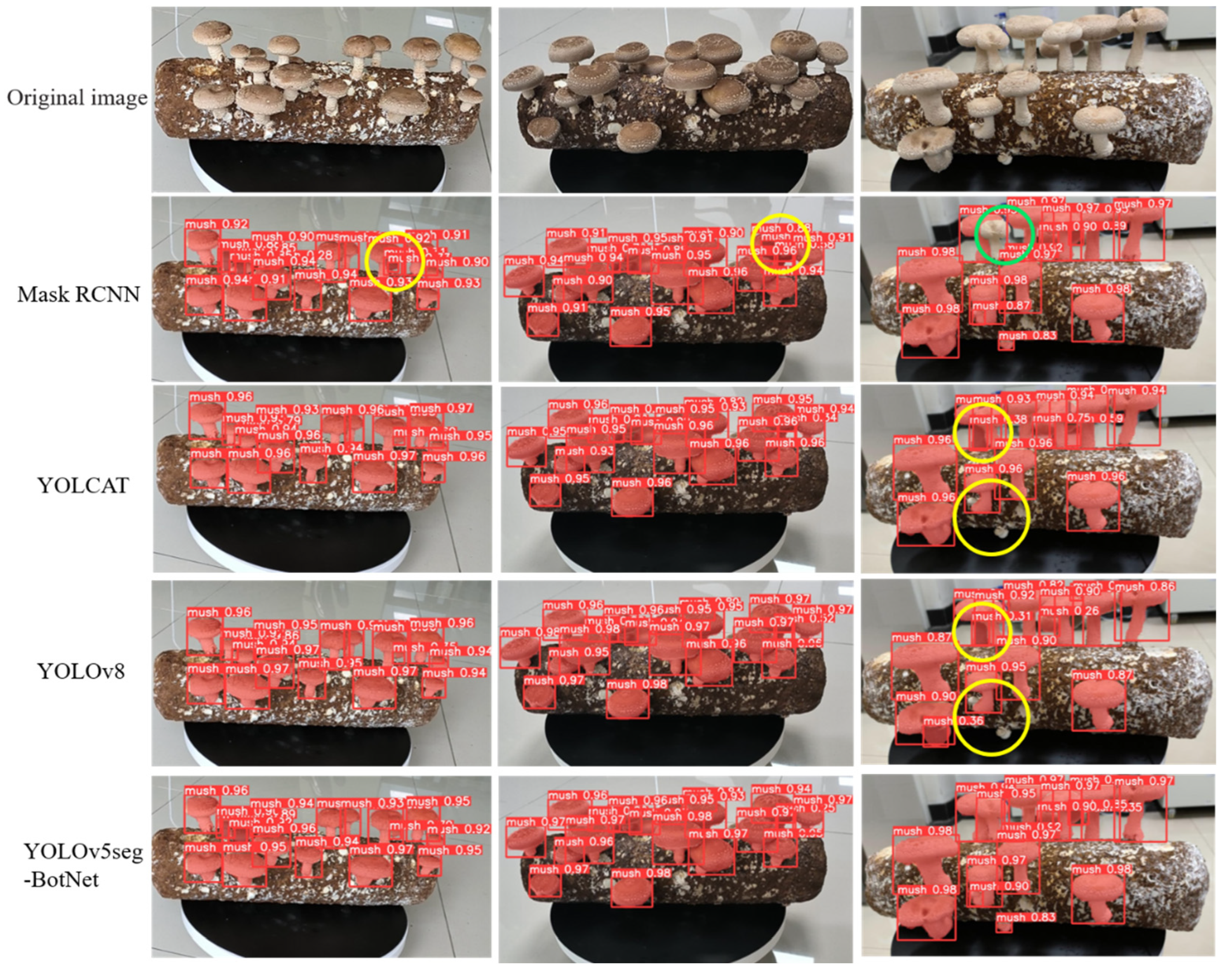 Agronomy 14 01808 g008 Agronomy 14 01808 g008