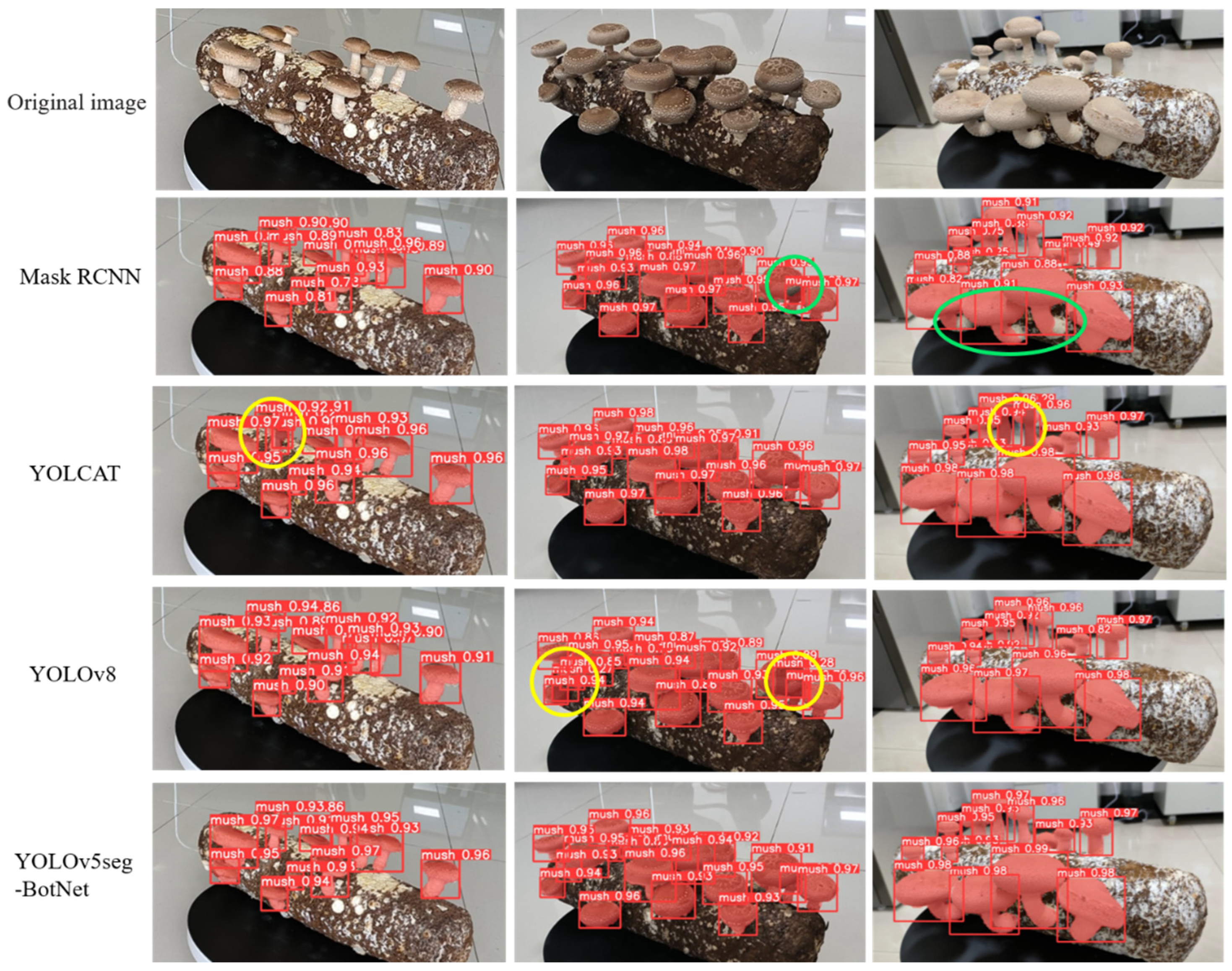 Agronomy 14 01808 g009 Agronomy 14 01808 g009