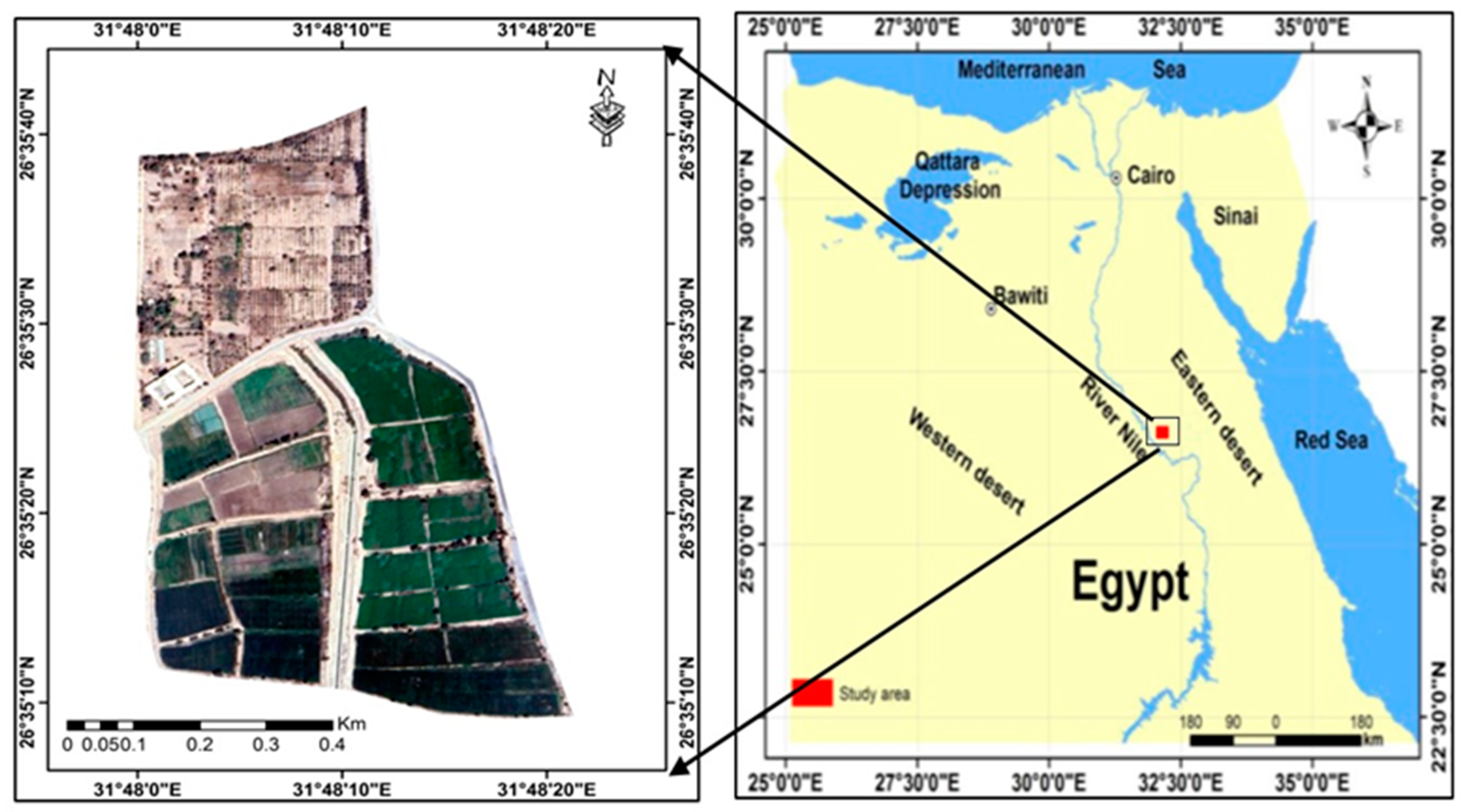 Agronomy 14 01814 g001