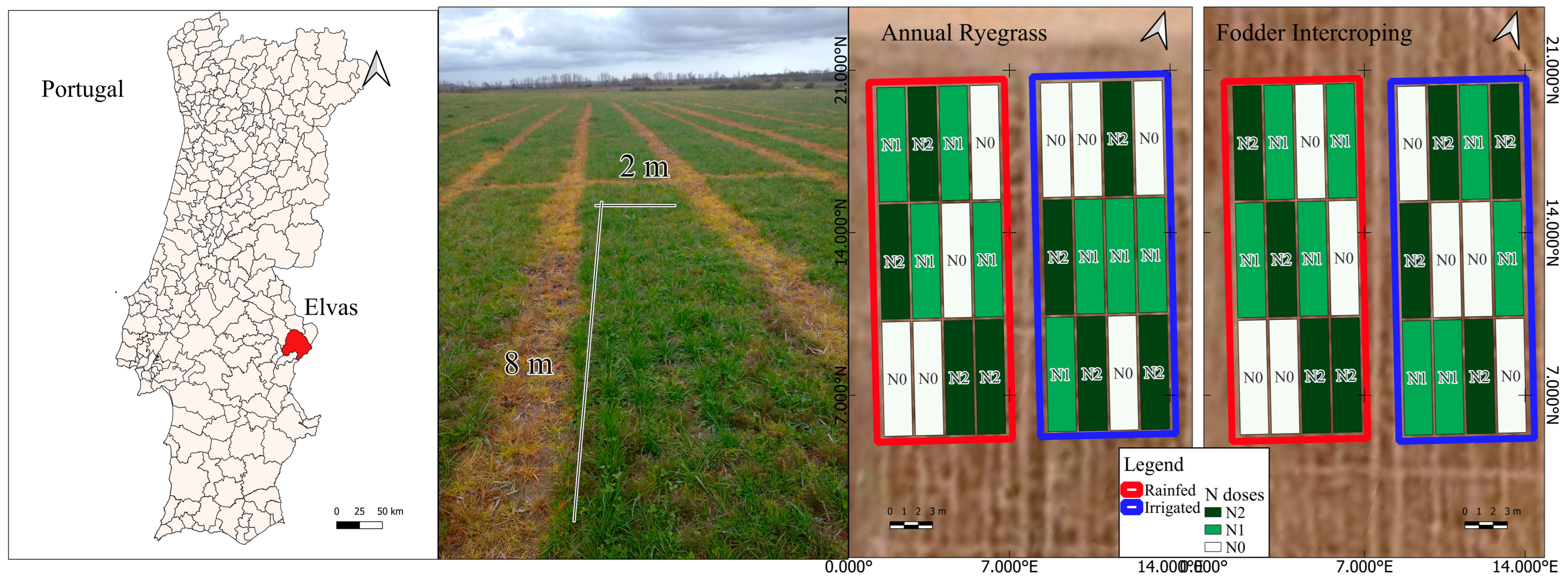 Agronomy 14 01817 g001
