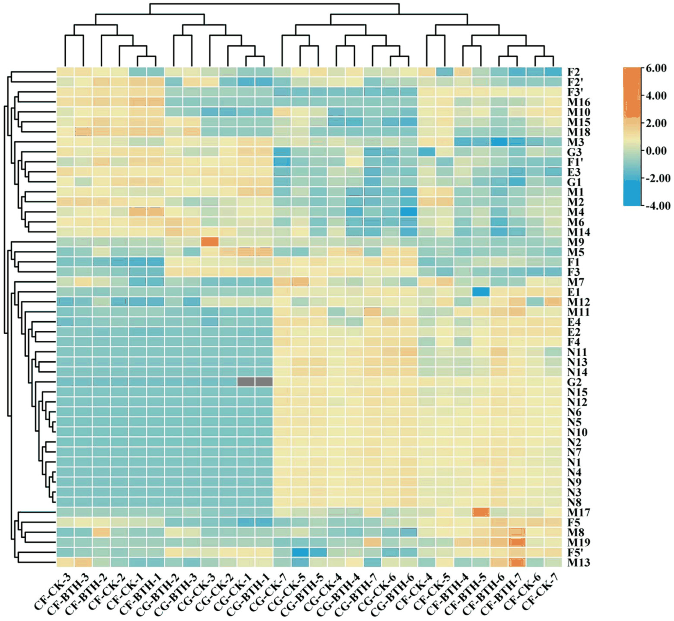 Agronomy 14 01818 g007 Agronomy 14 01818 g007
