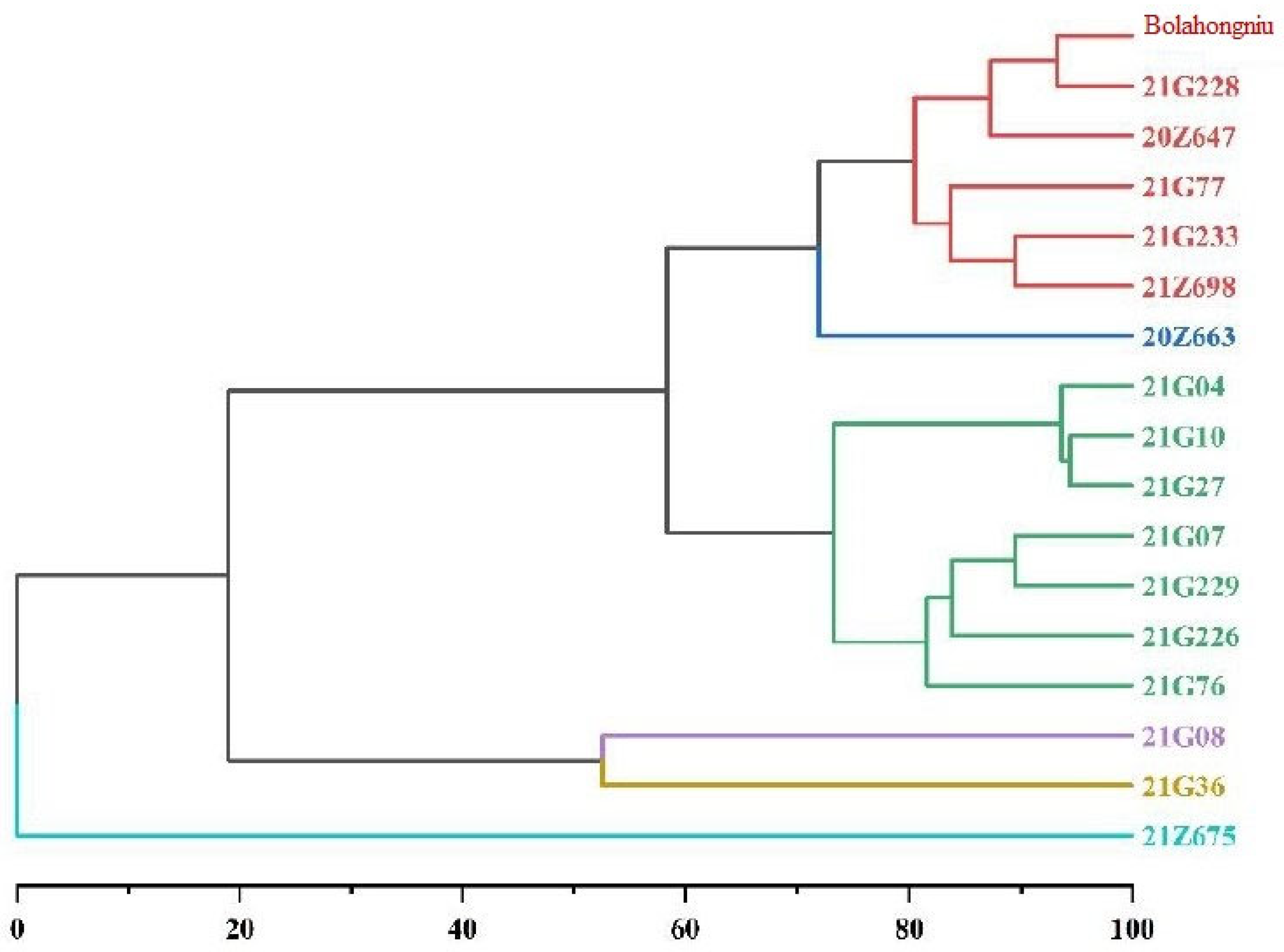 Agronomy 14 01833 g005