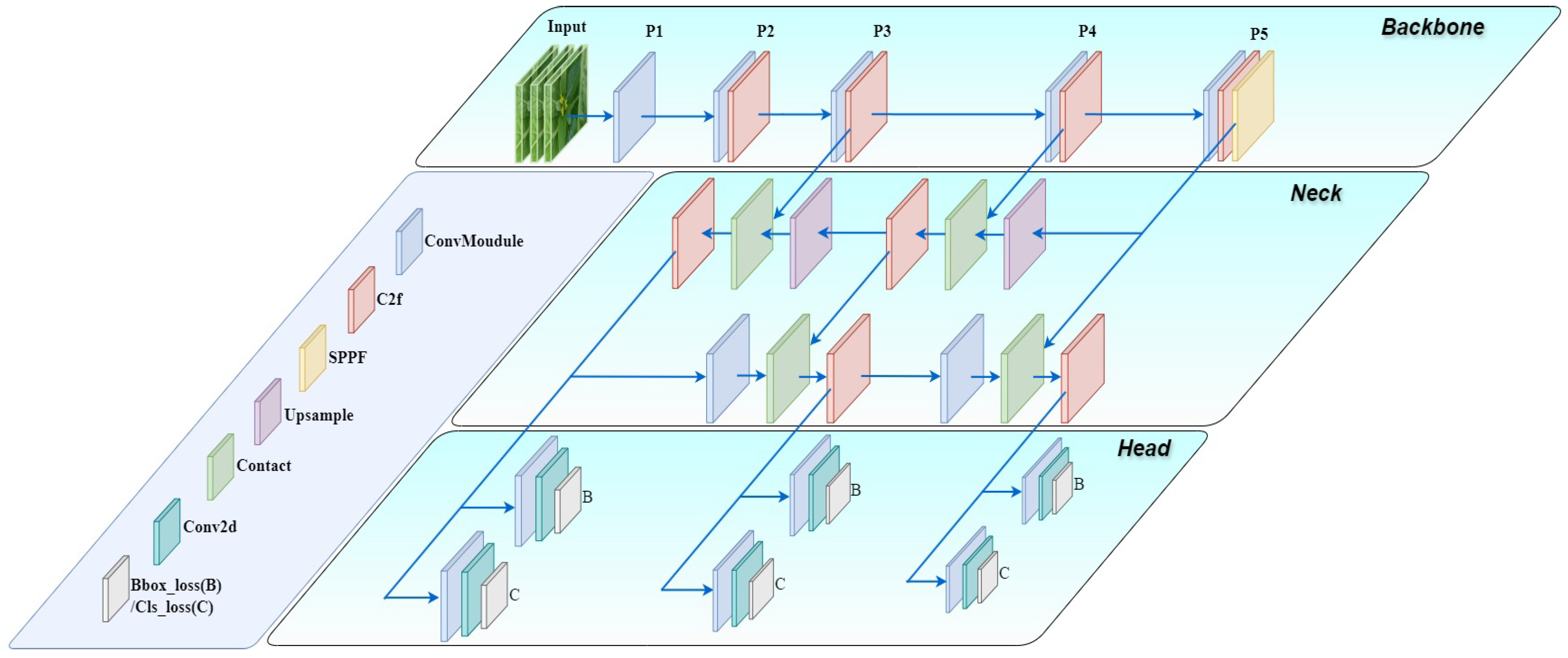 Agronomy 14 01835 g004