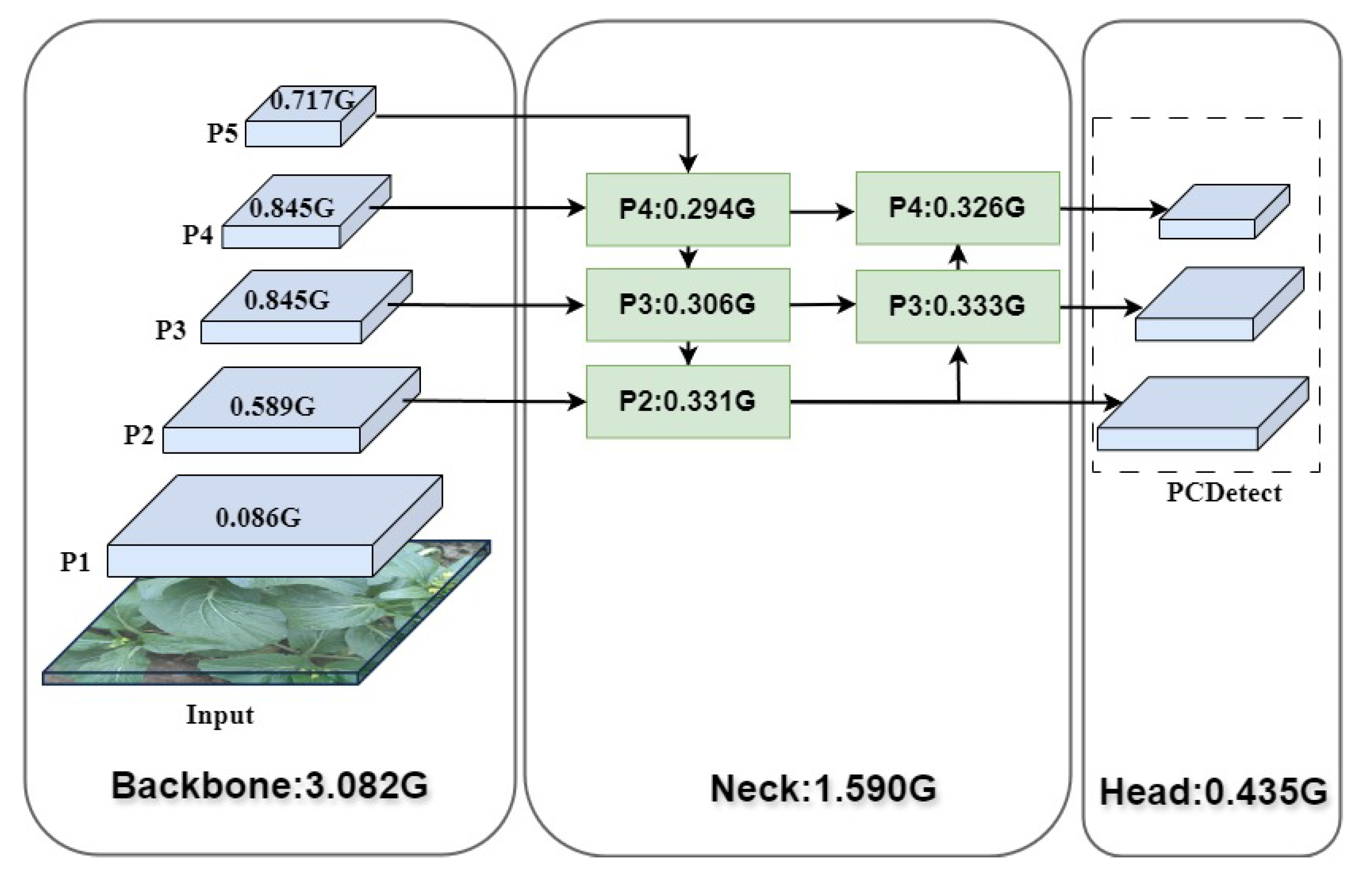 Agronomy 14 01835 g014