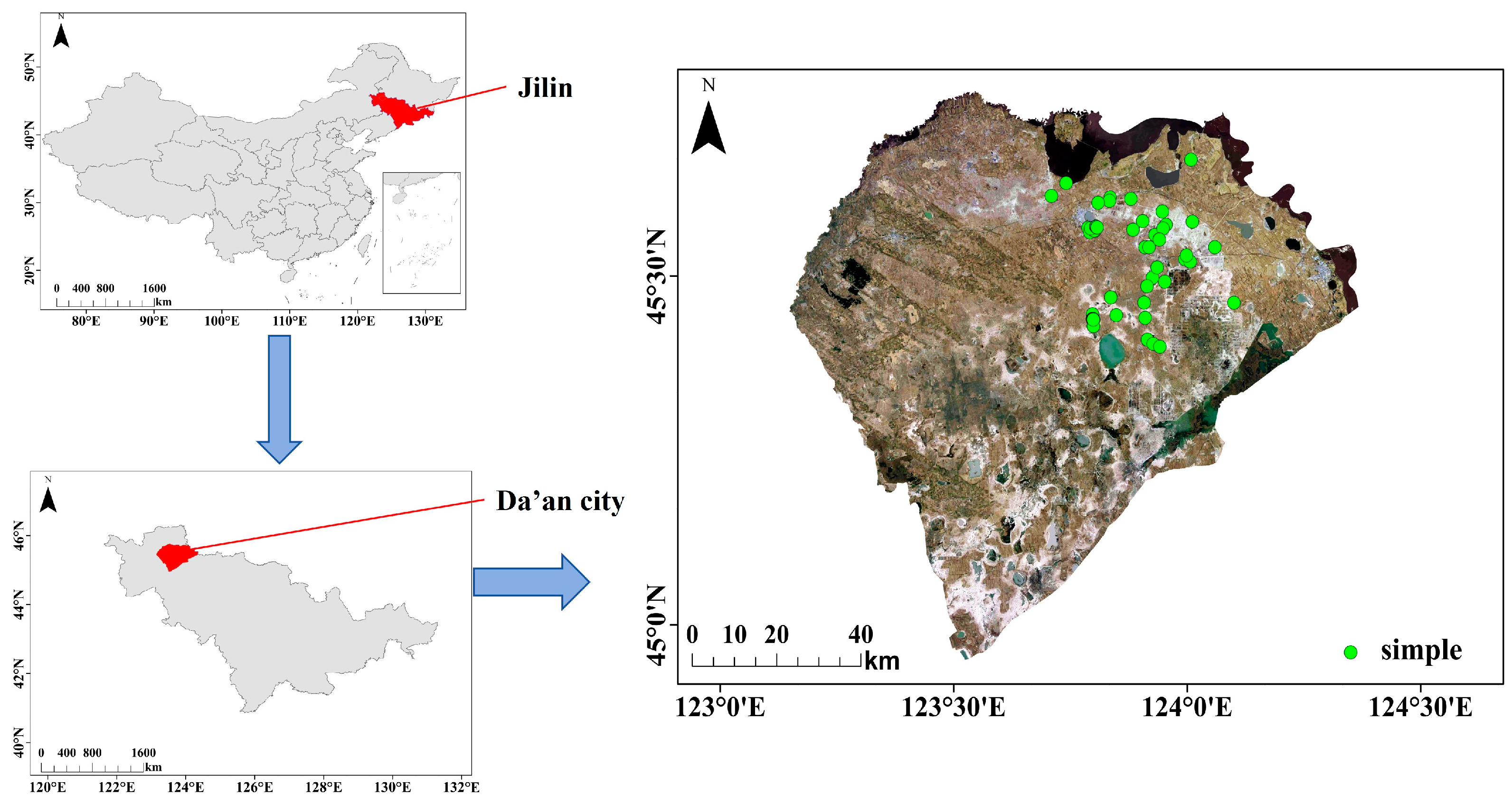 Agronomy 14 01837 g001