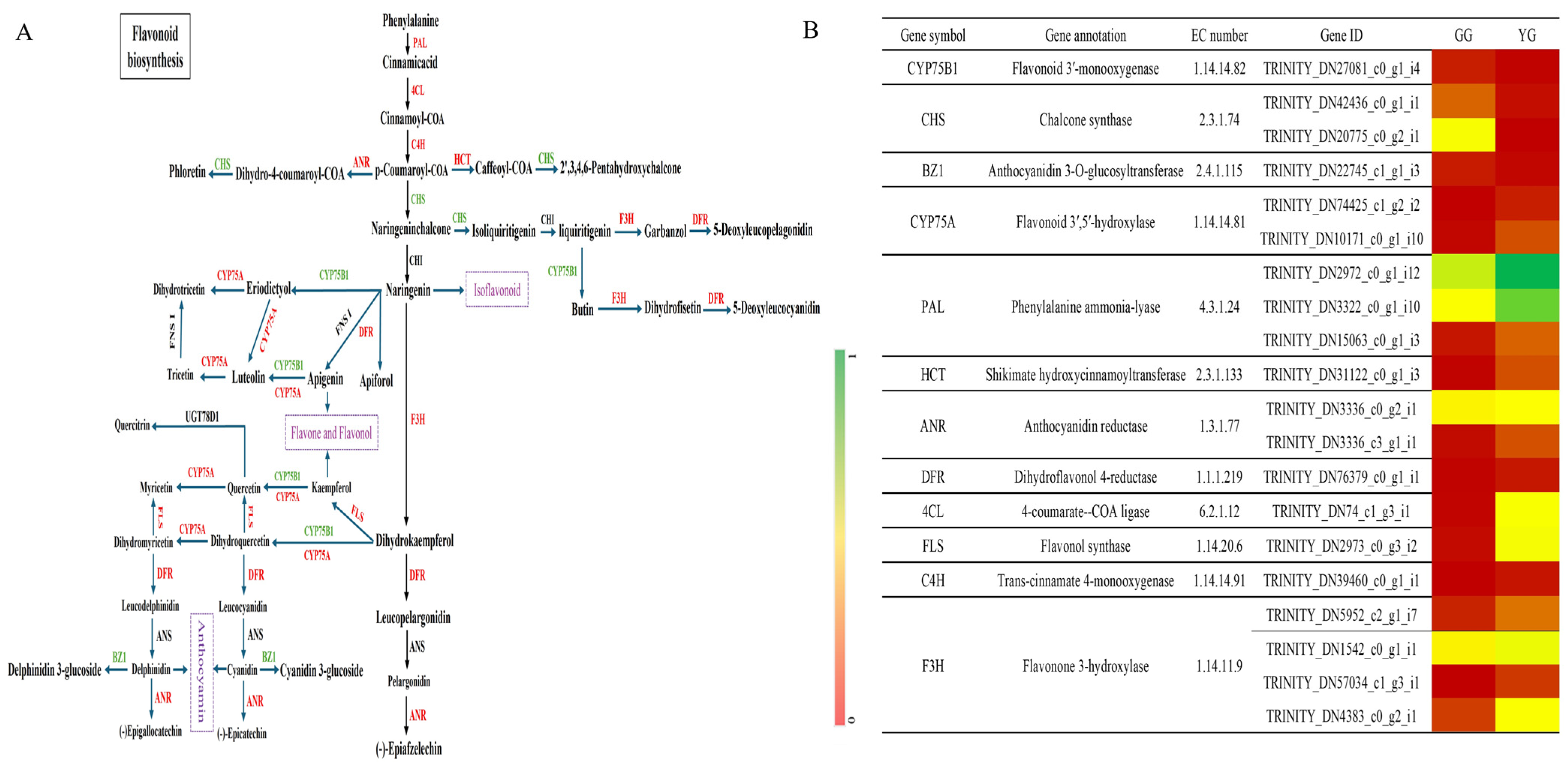 Agronomy 14 01839 g004