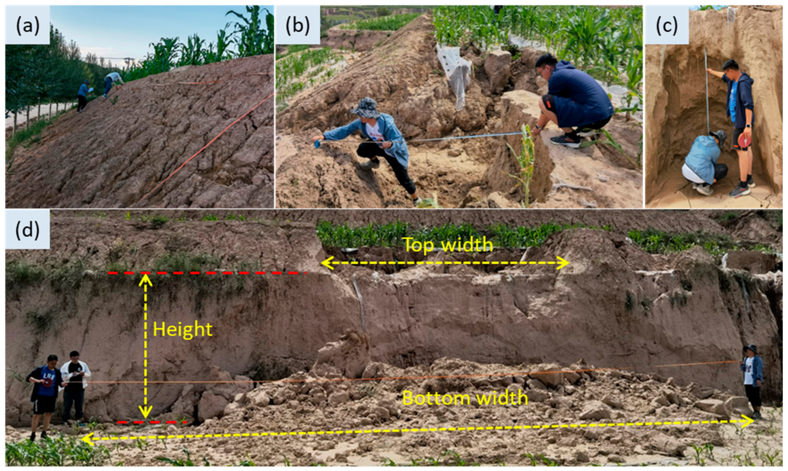 Agronomy 14 01840 g004