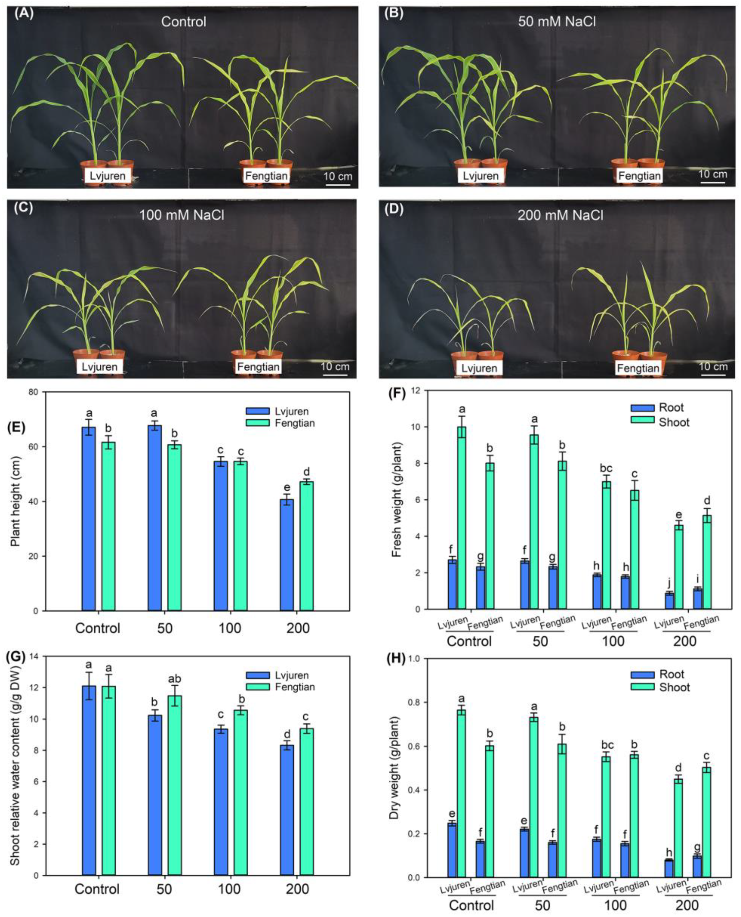 Agronomy 14 01849 g001