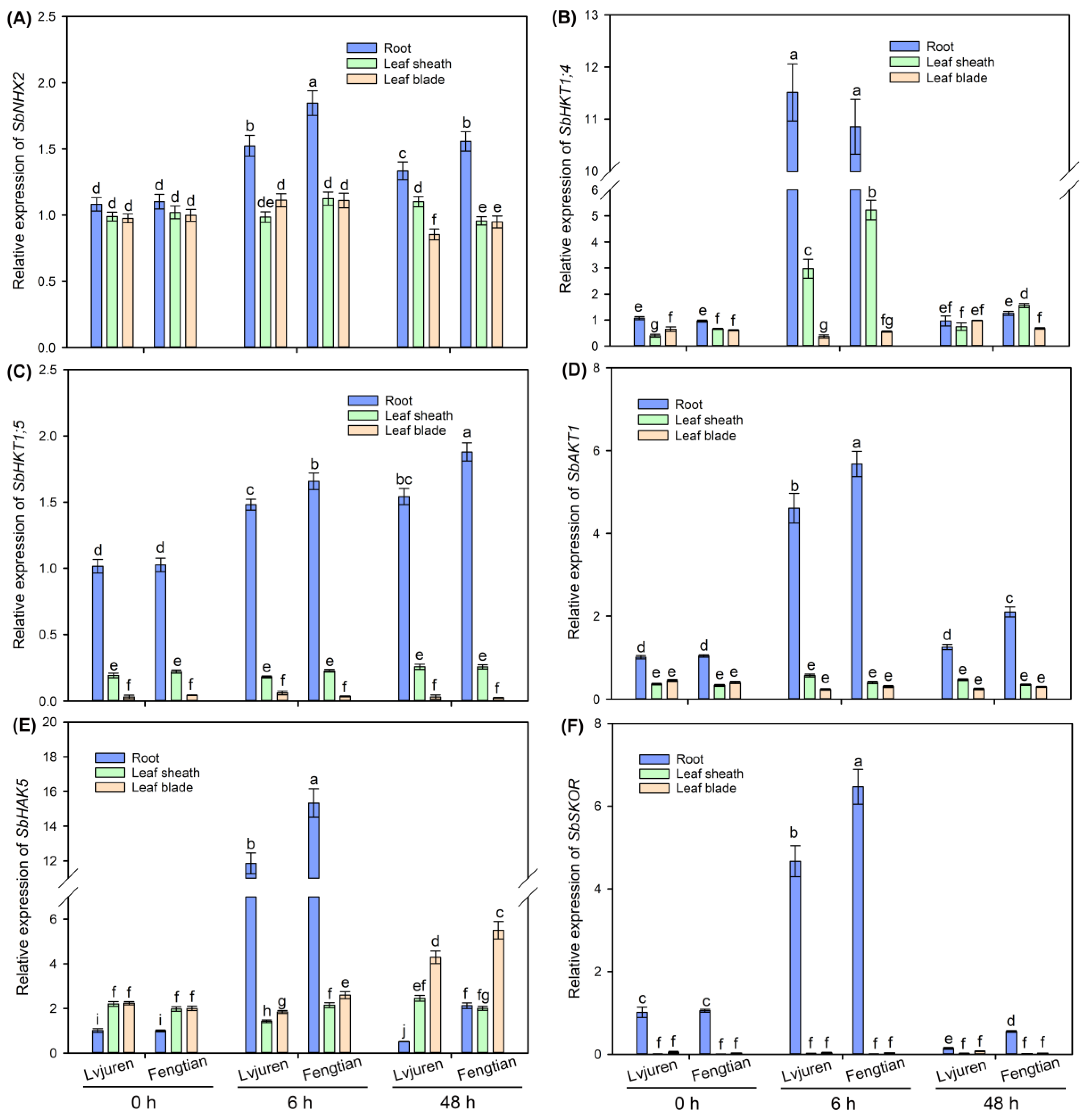 Agronomy 14 01849 g005