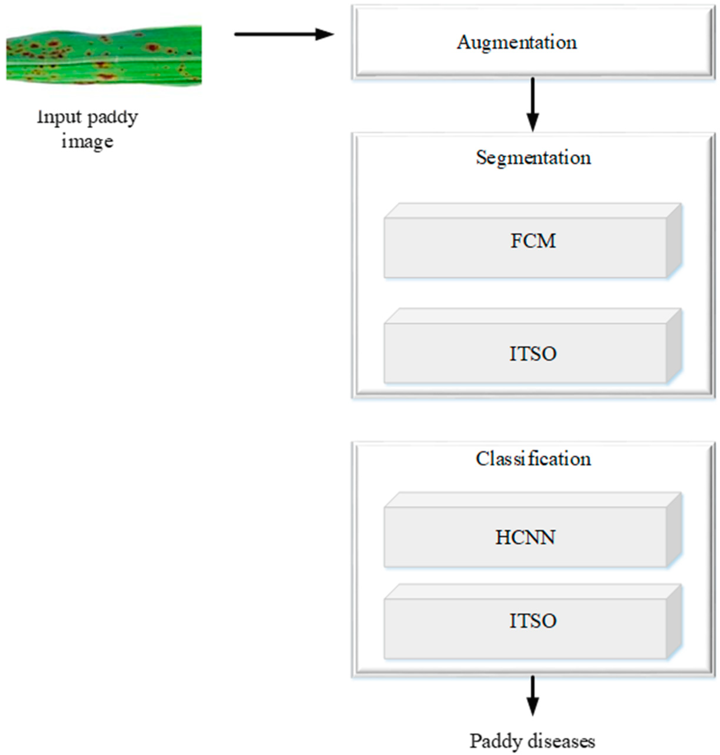 Agronomy 14 01851 g001