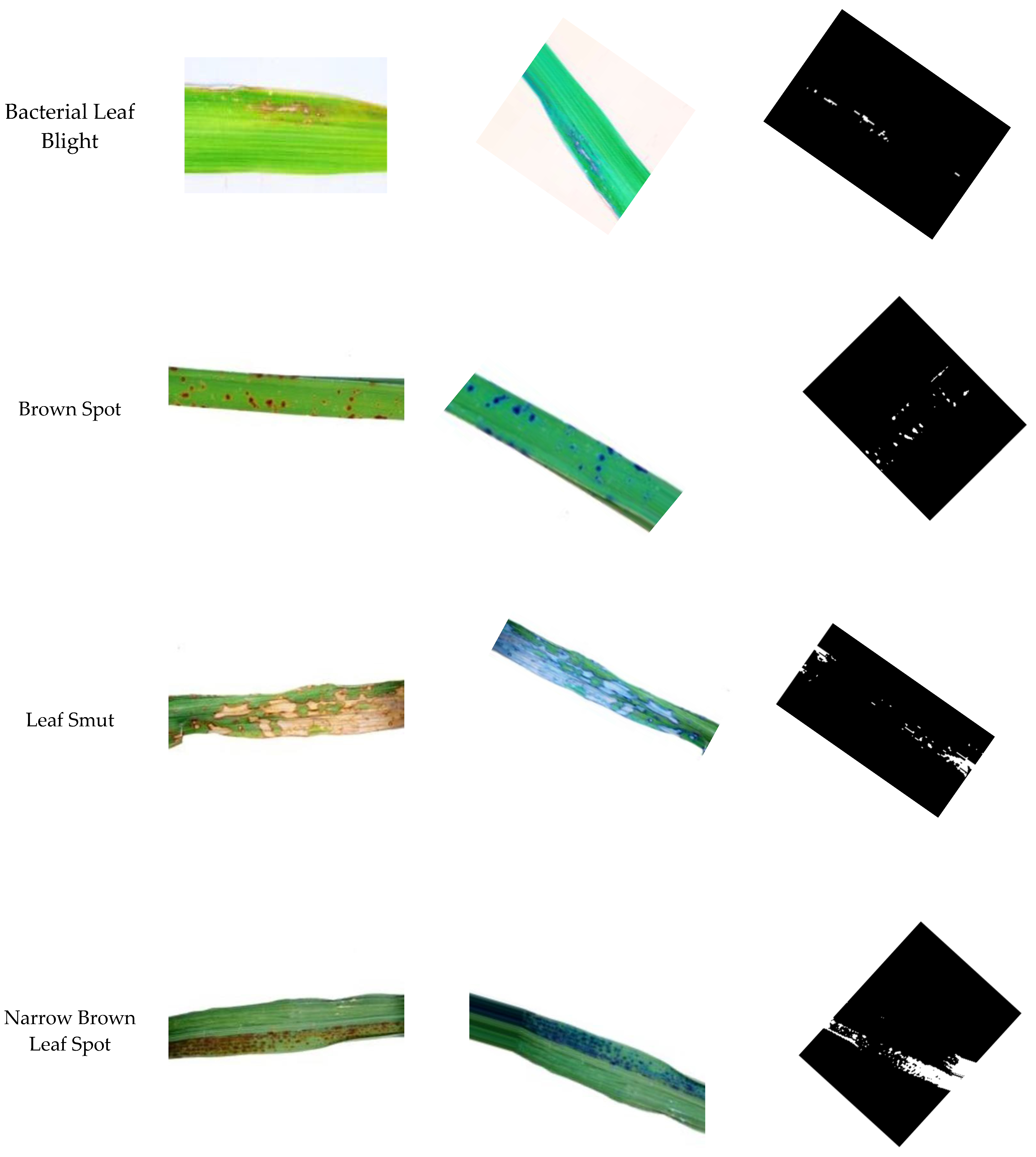 Agronomy 14 01851 g003a