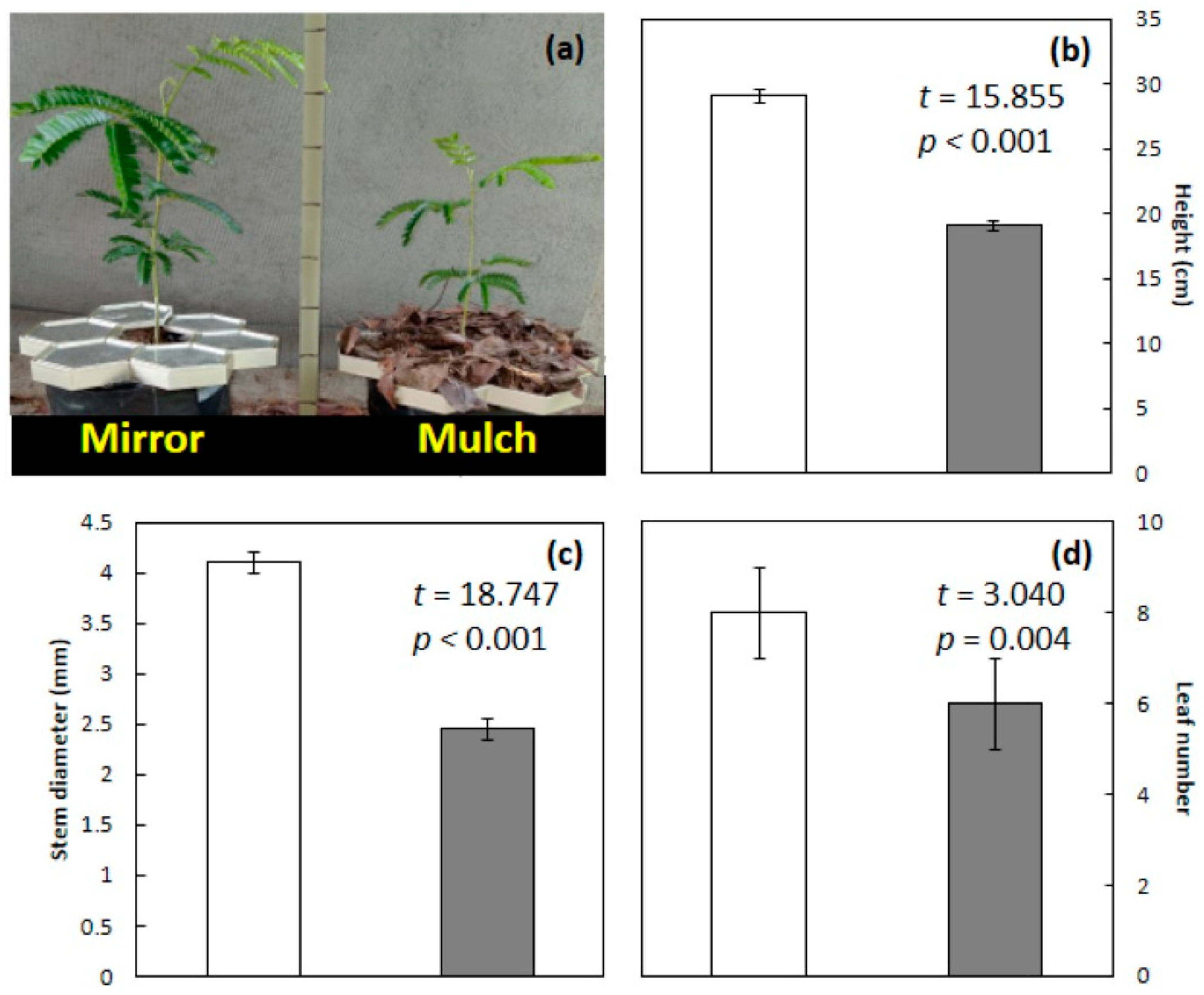 Agronomy 14 01854 g002