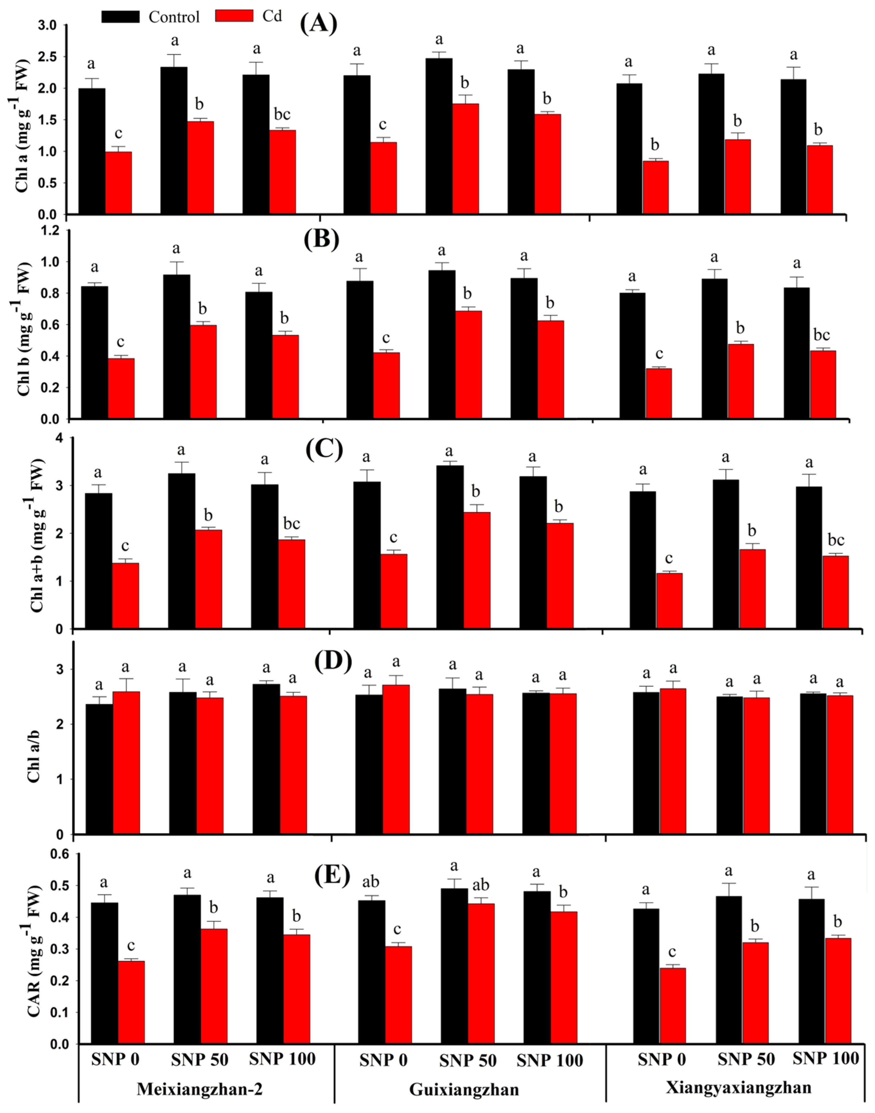 Agronomy 14 01857 g002