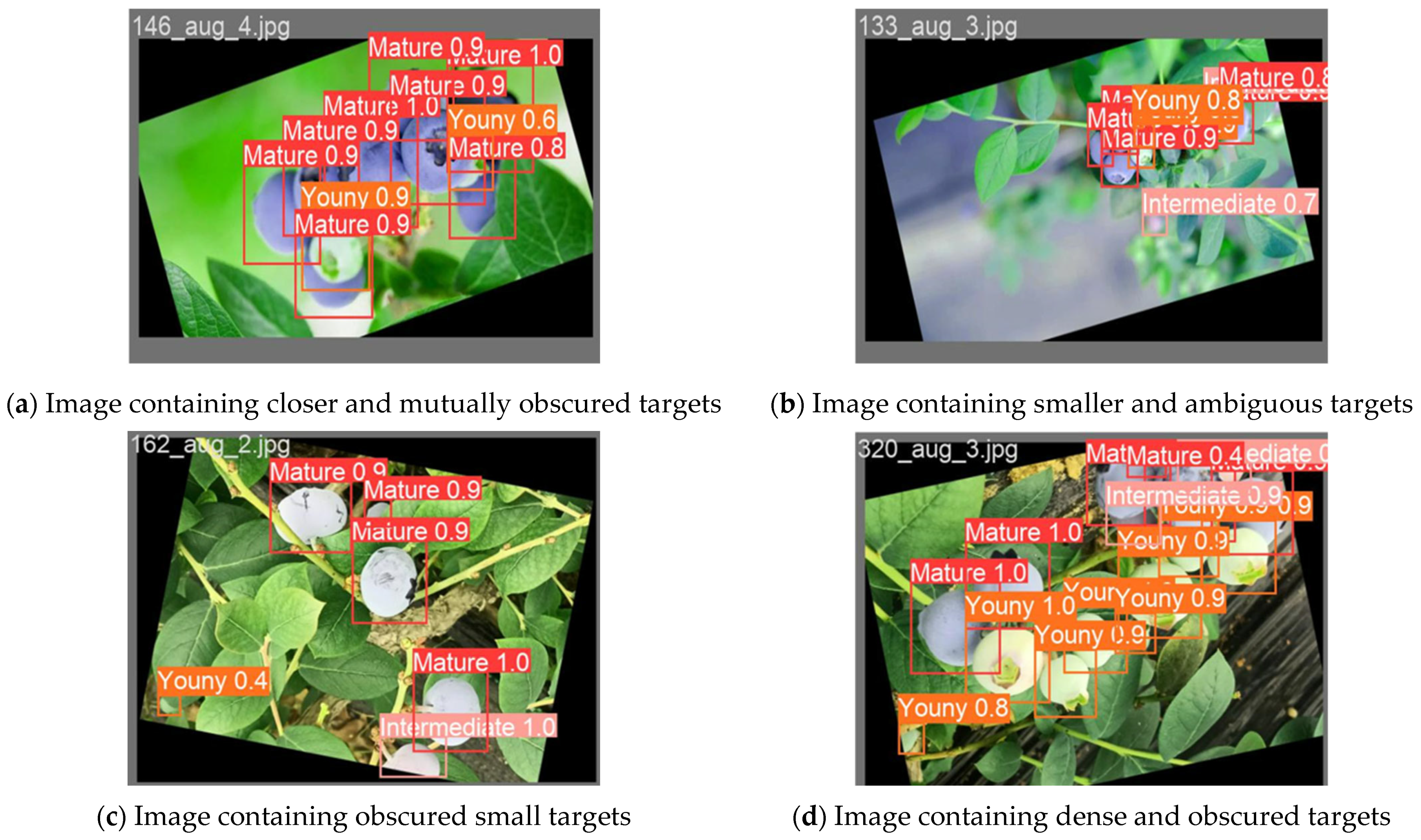 Agronomy 14 01860 g008