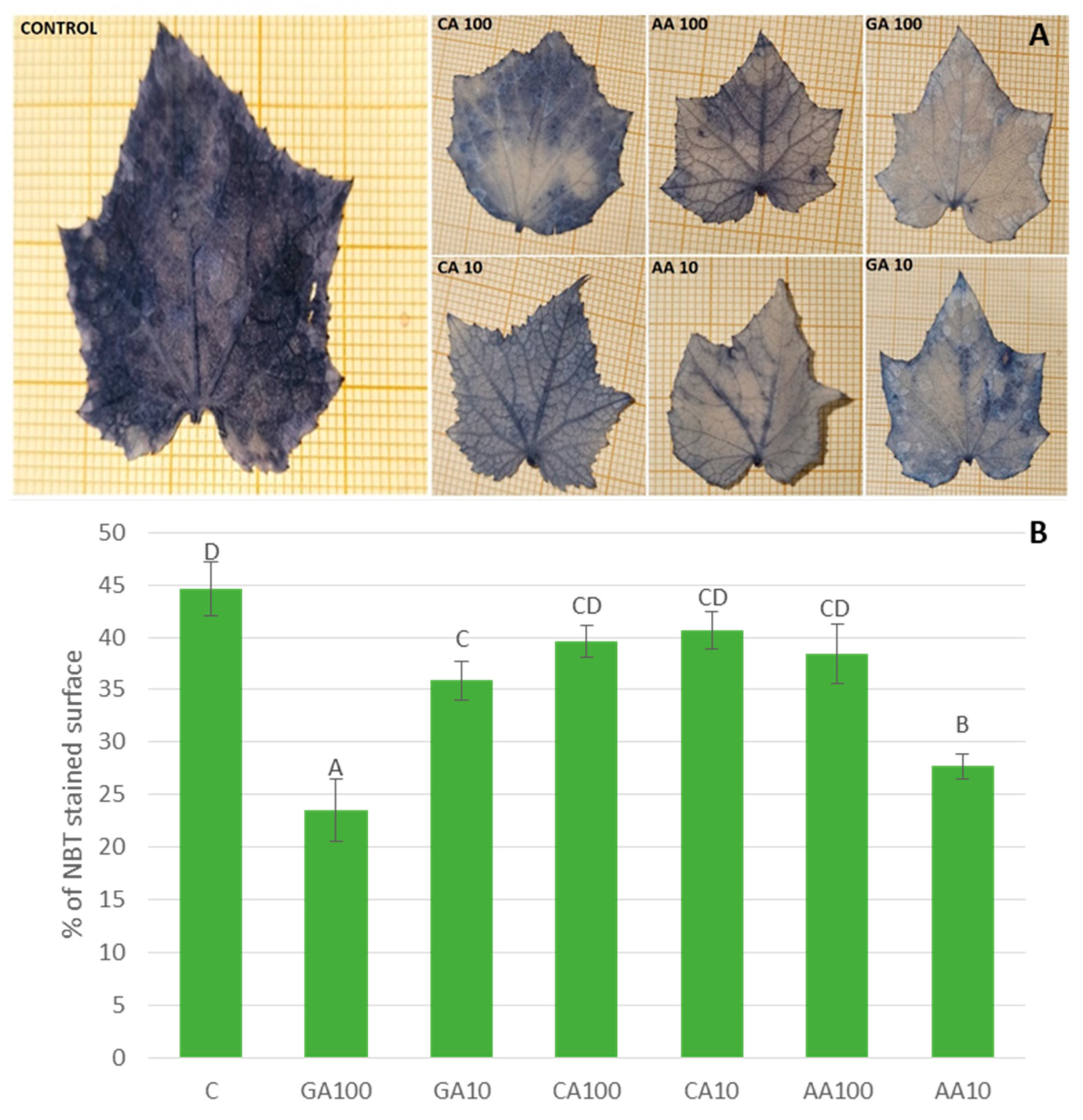 Agronomy 14 01866 g008