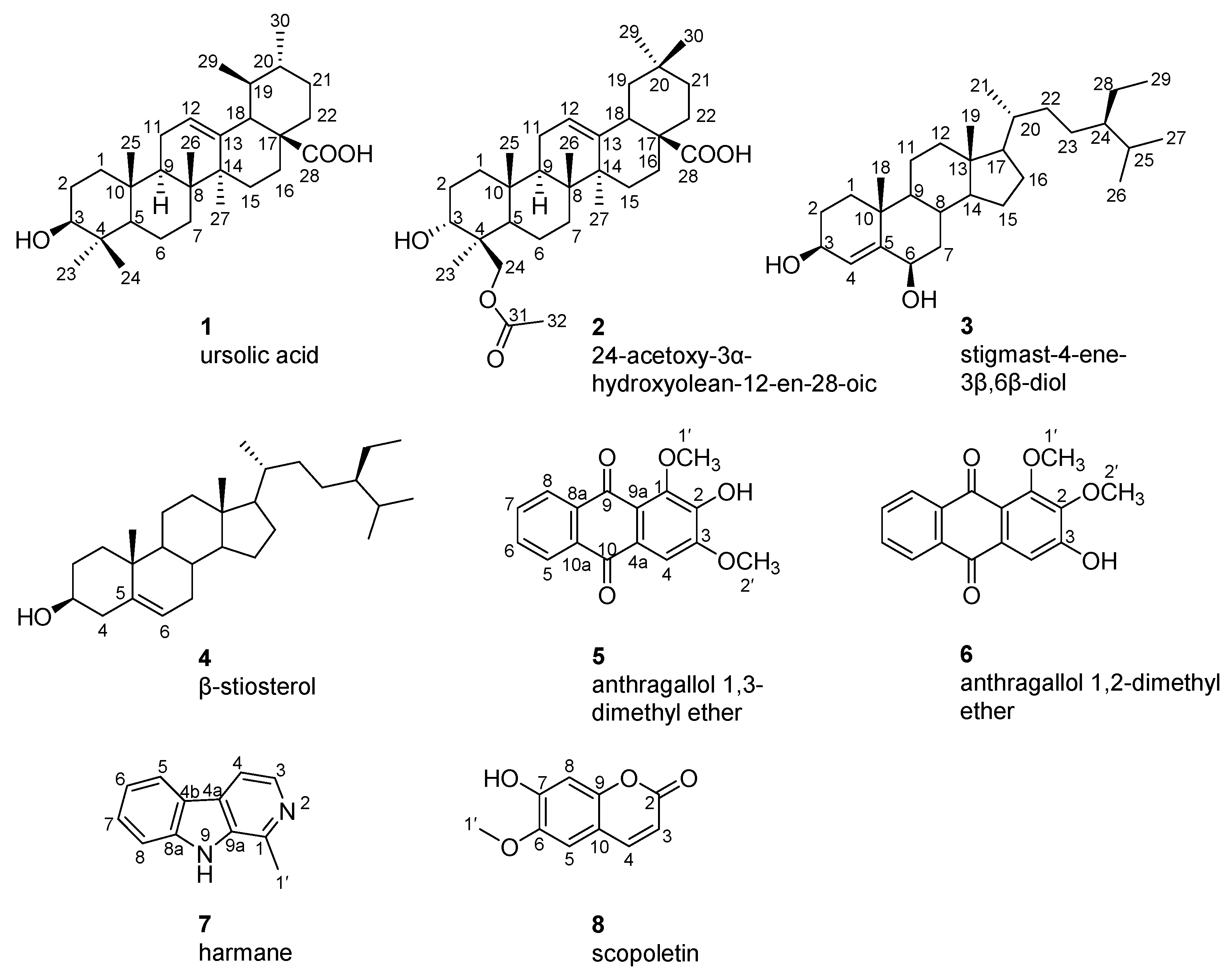 Agronomy 14 01872 g002