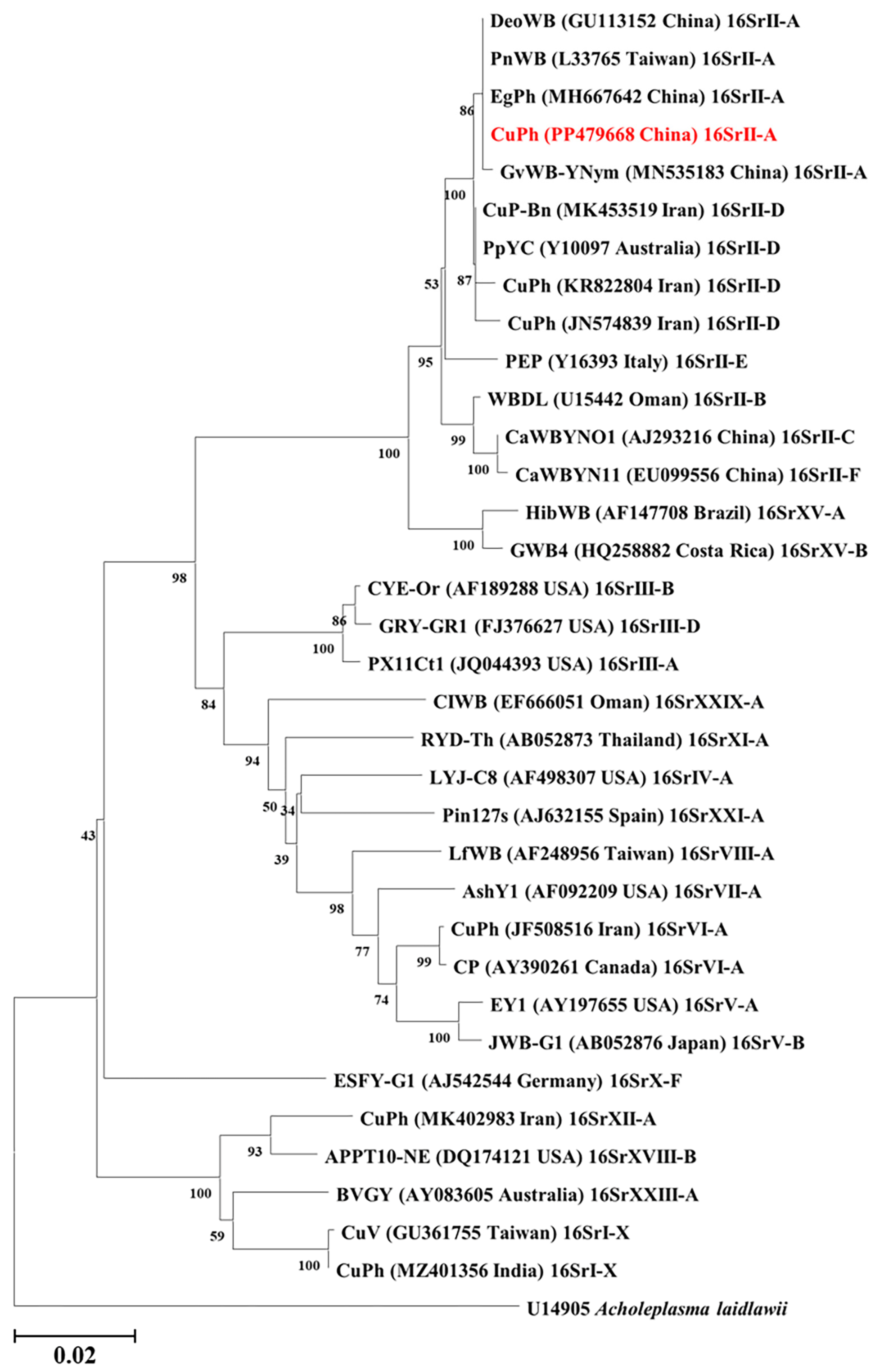 Agronomy 14 01873 g002