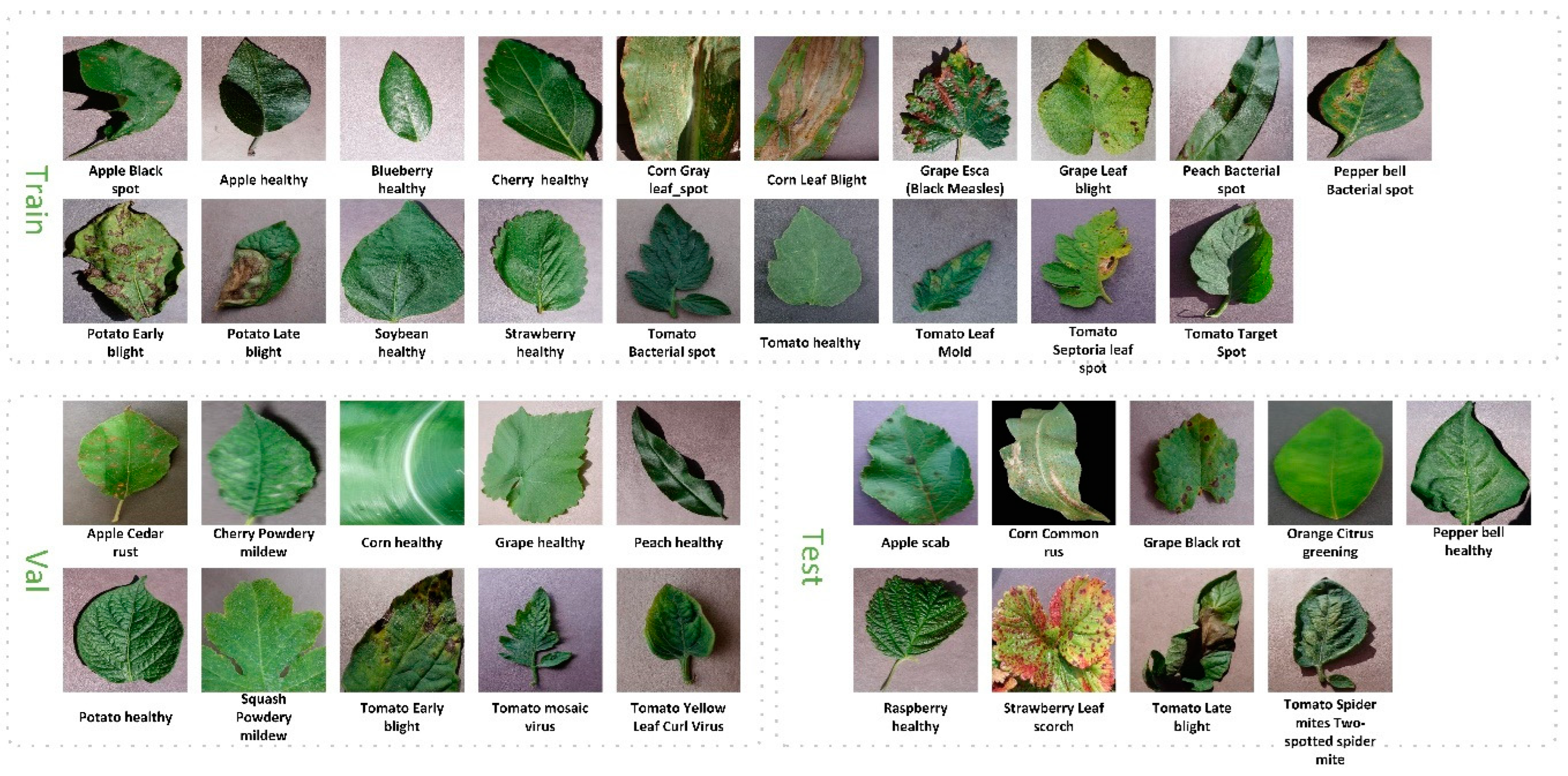 Agronomy 14 01878 g004