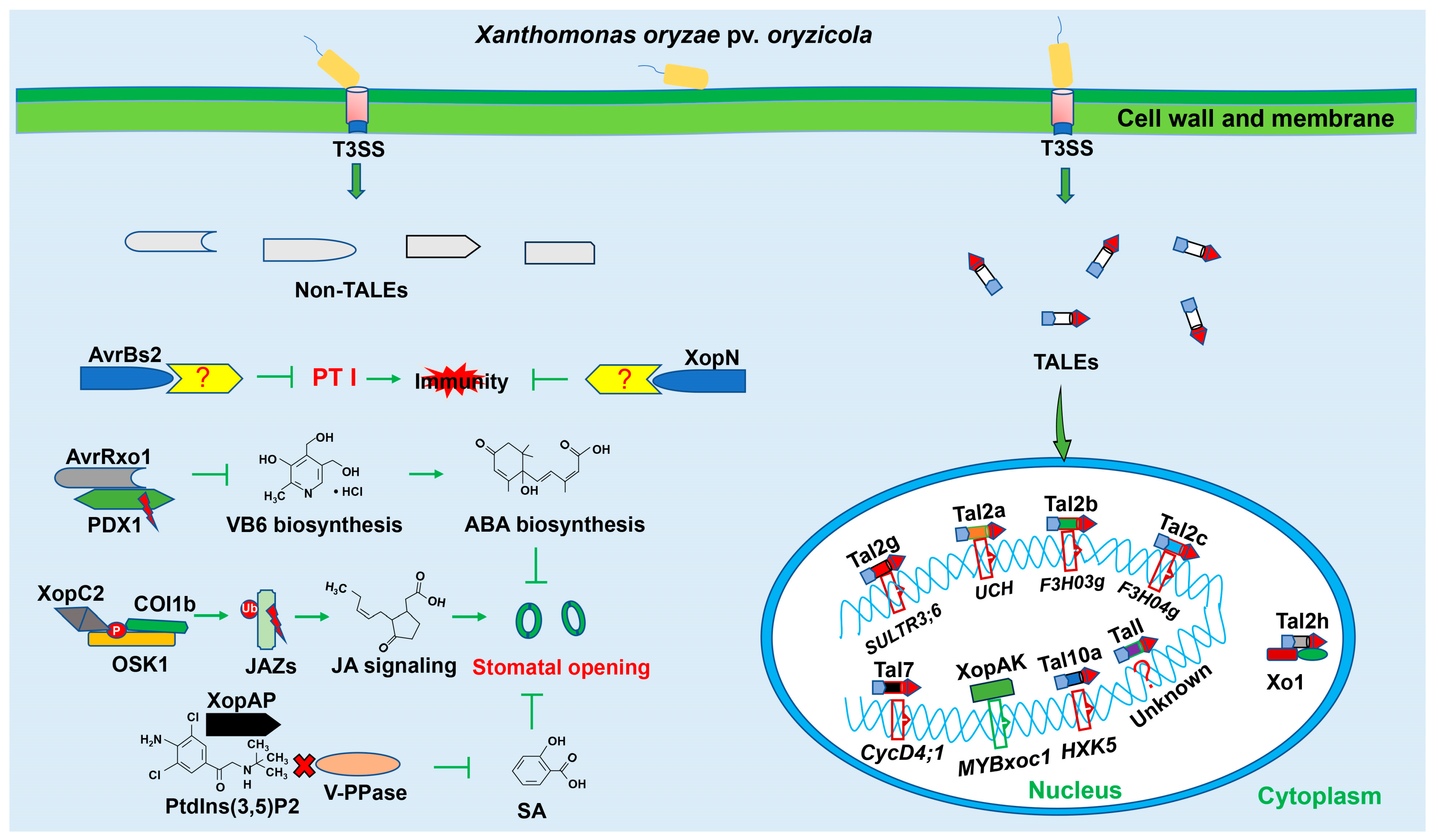 Agronomy 14 01881 g001