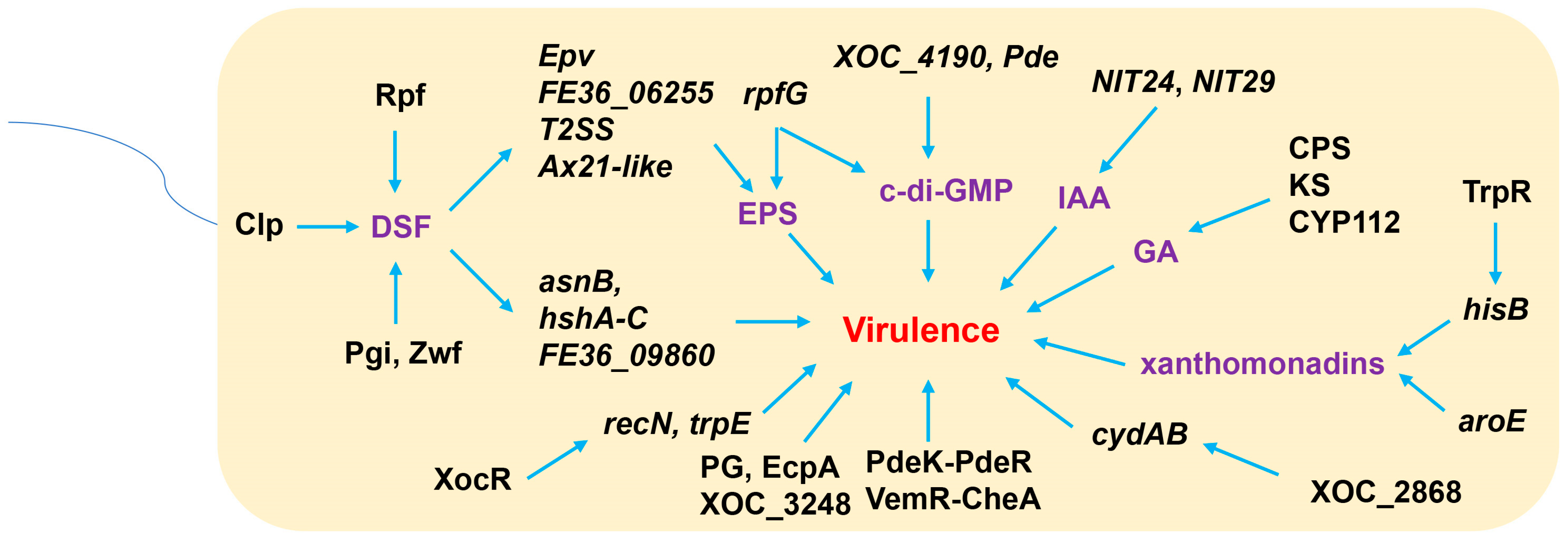 Agronomy 14 01881 g002