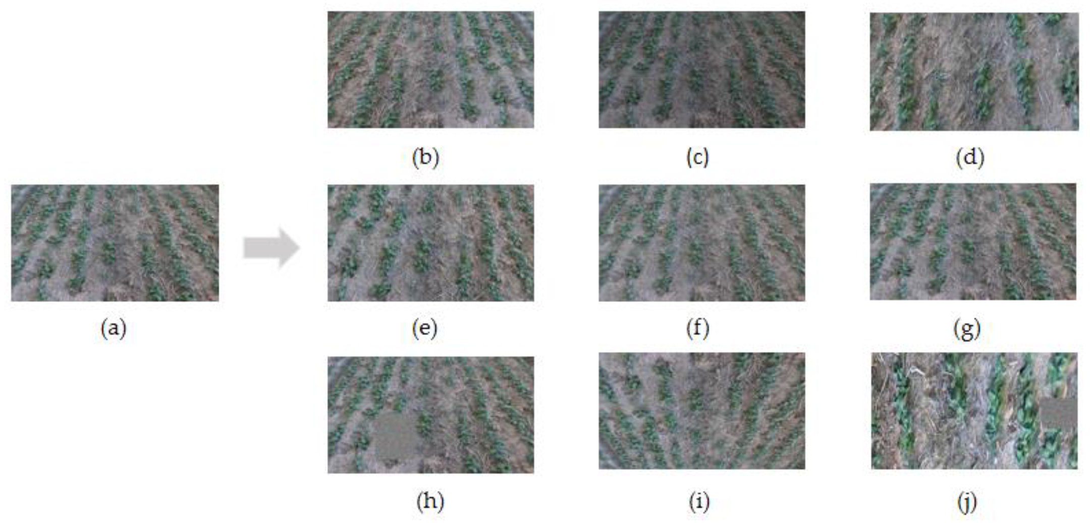 Agronomy 14 01886 g004