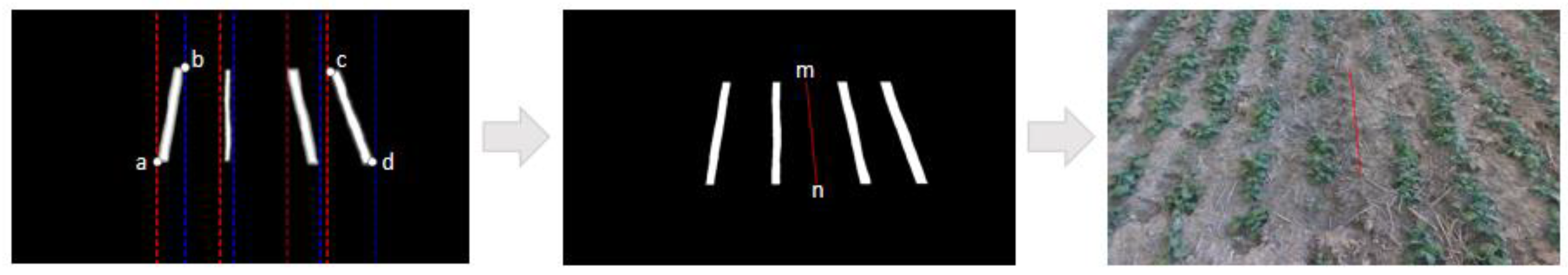 Agronomy 14 01886 g011