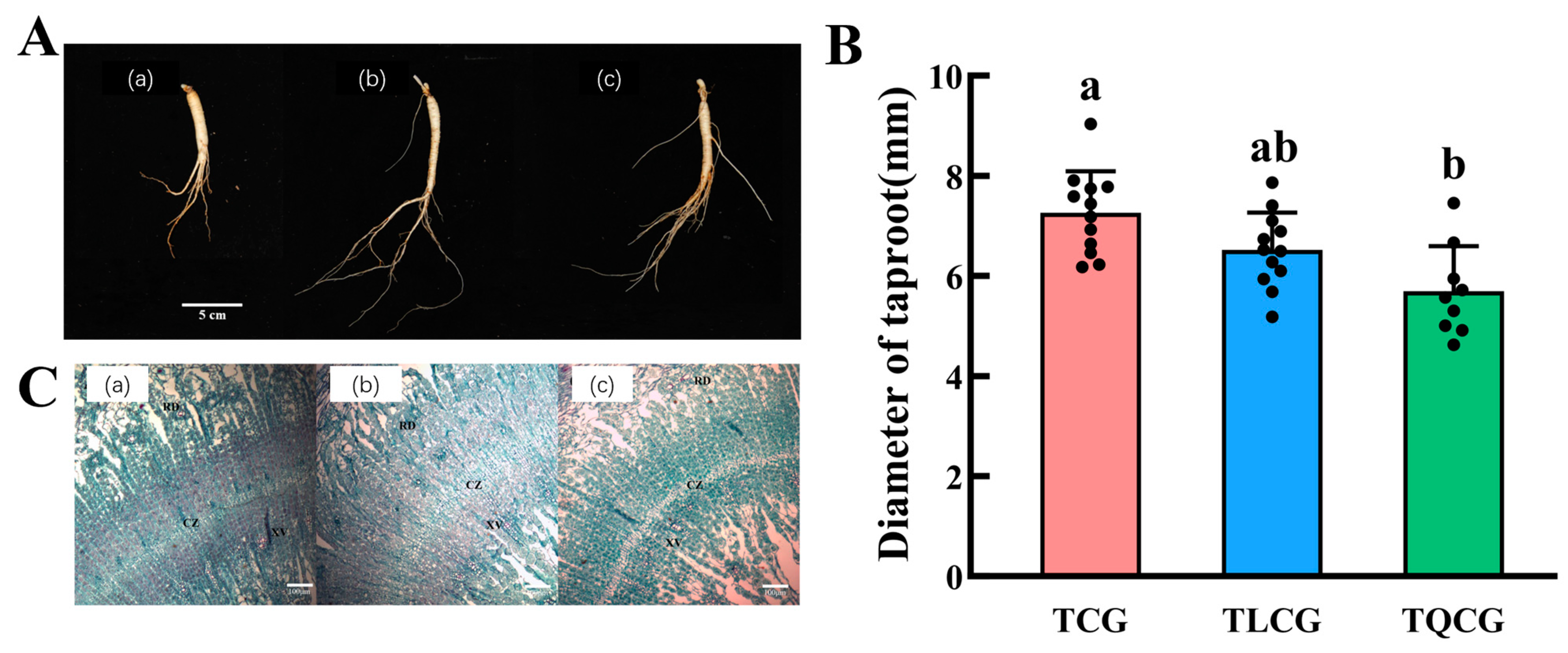 Agronomy 14 01897 g002