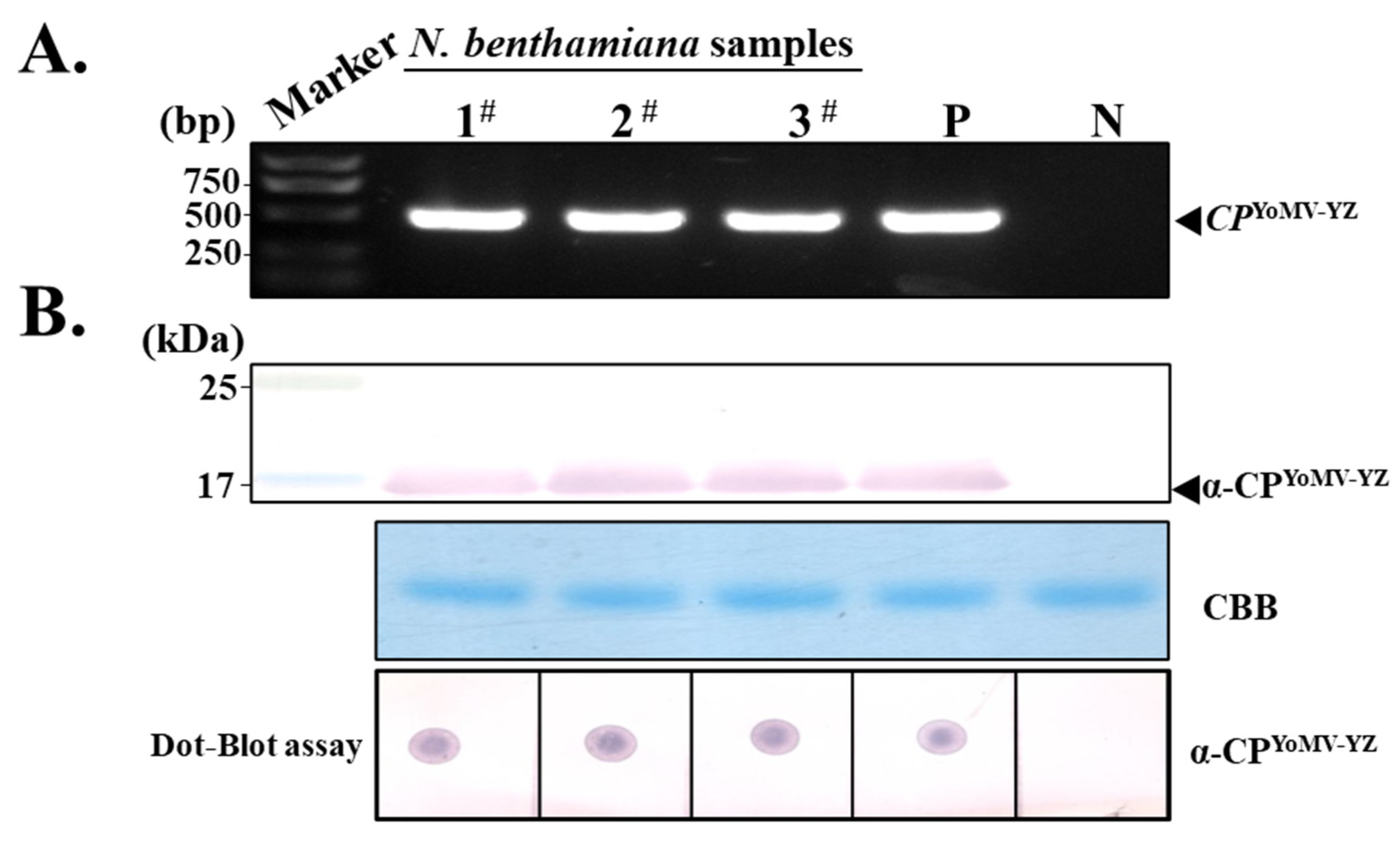 Agronomy 14 01900 g003 Agronomy 14 01900 g003