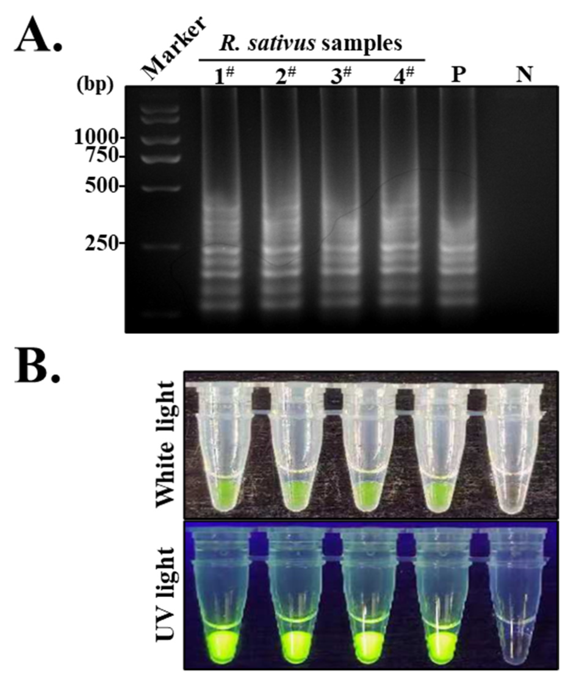 Agronomy 14 01900 g006 Agronomy 14 01900 g006