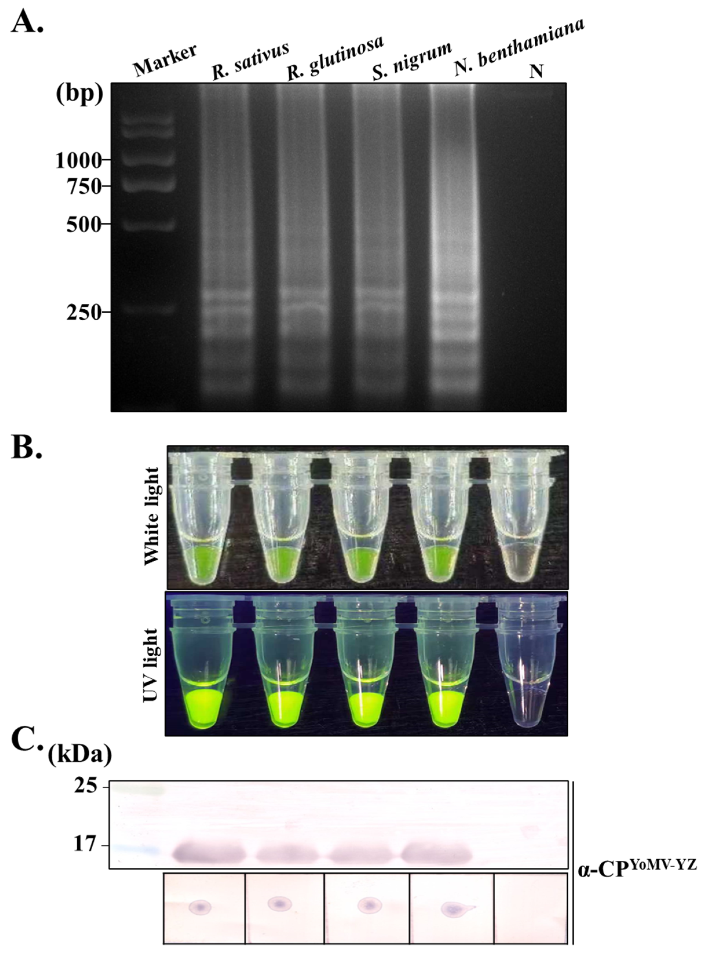 Agronomy 14 01900 g007 Agronomy 14 01900 g007