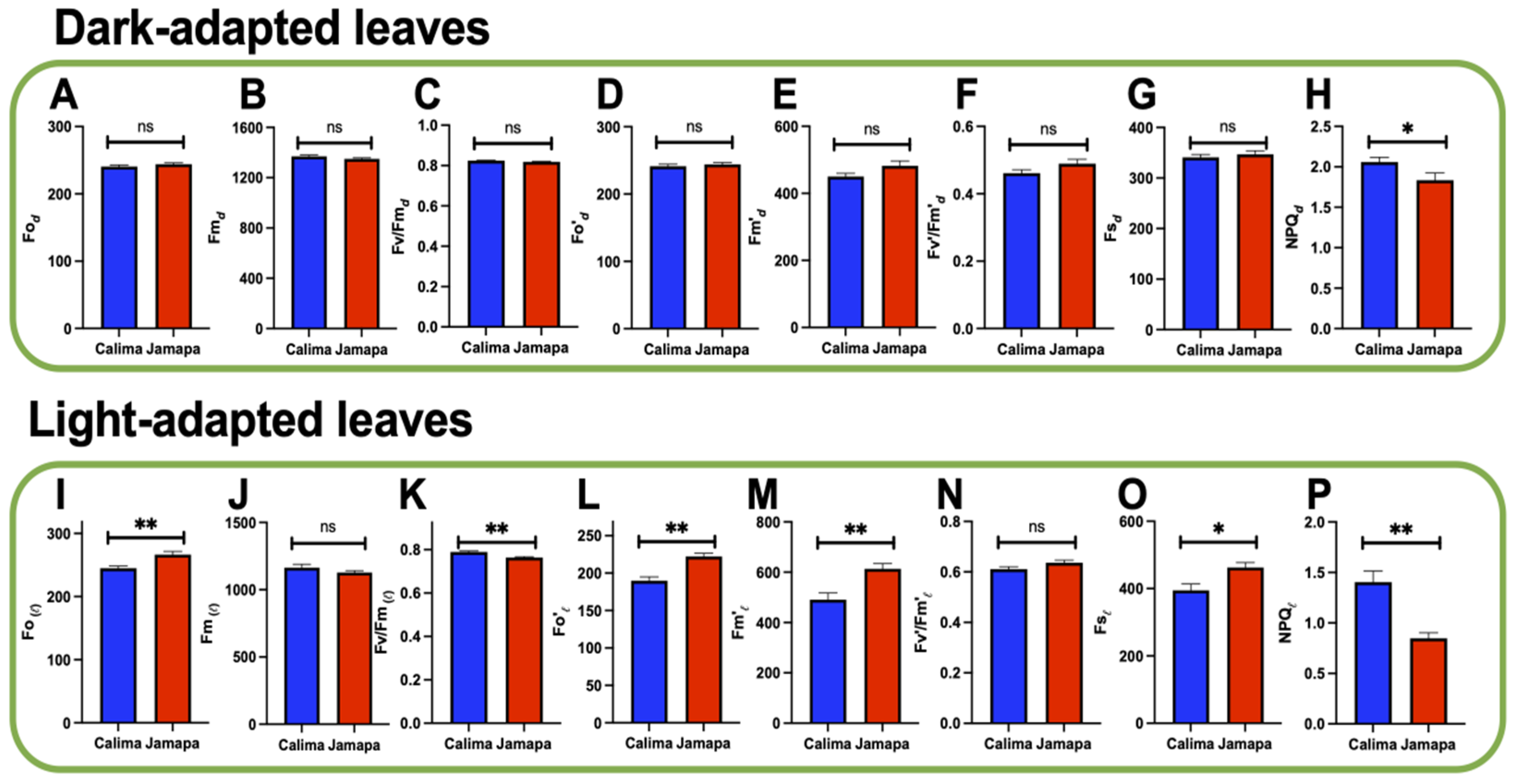 Agronomy 14 01907 g001