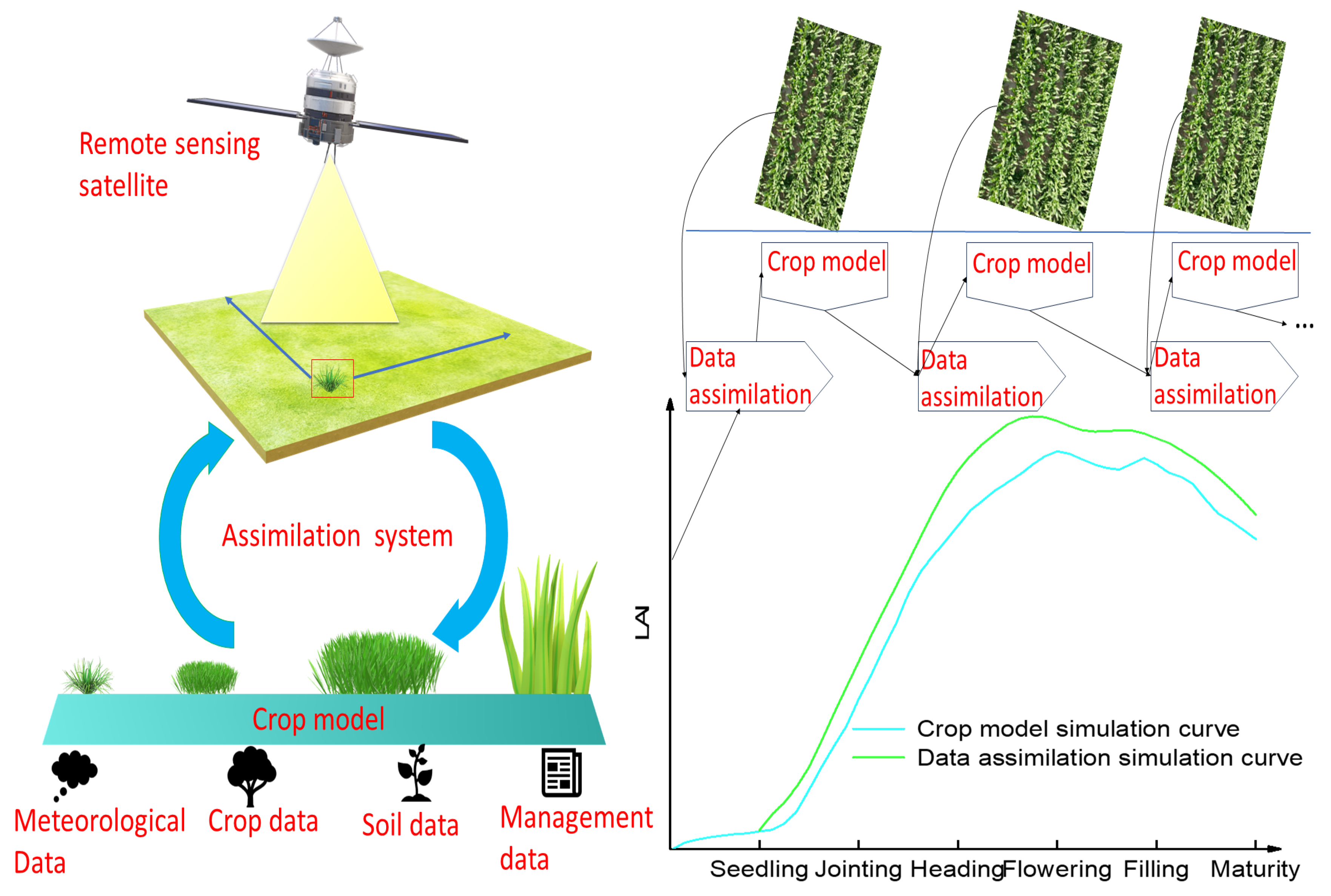 Agronomy 14 01920 g004
