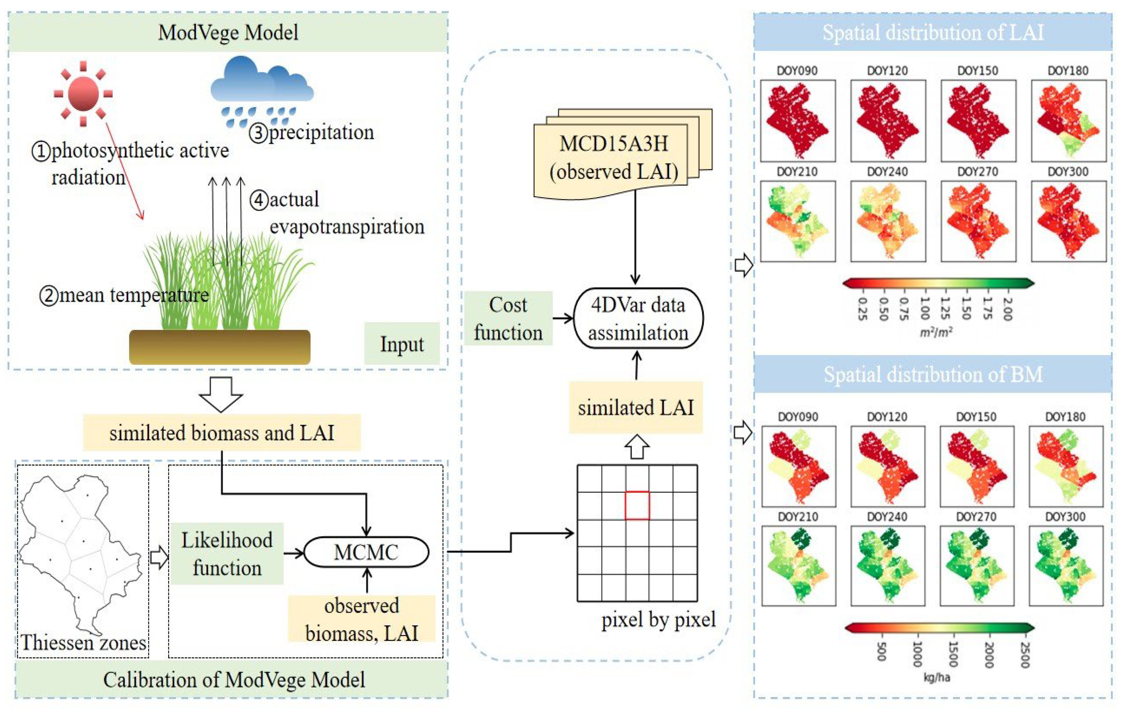 Agronomy 14 01920 g007